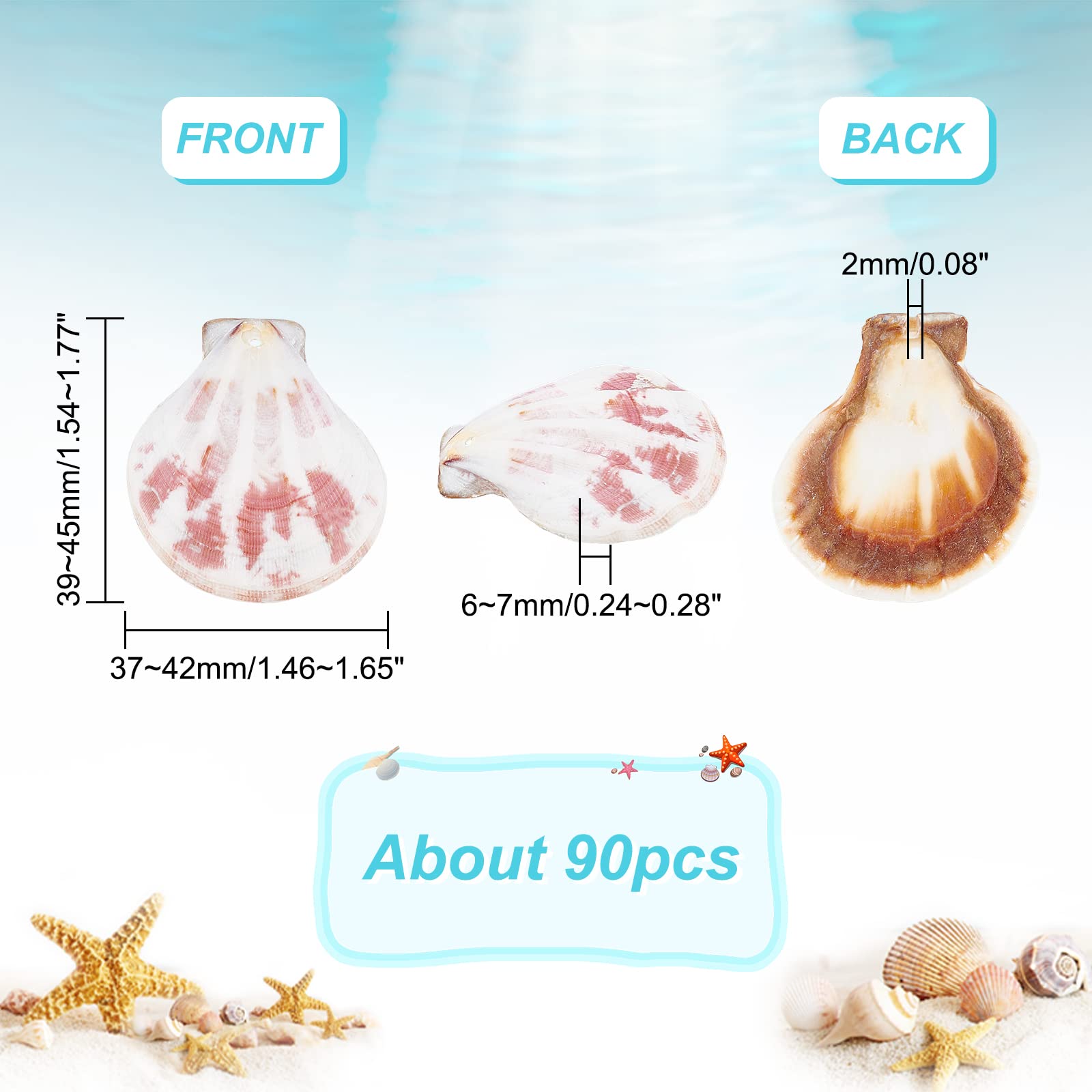 PH PandaHall Lot De 594 Perles Naturelles En Forme De Coquillages Percés Pour Loisirs Créatifs, Fabrication De Bijoux, Mariage, Maison, Fête