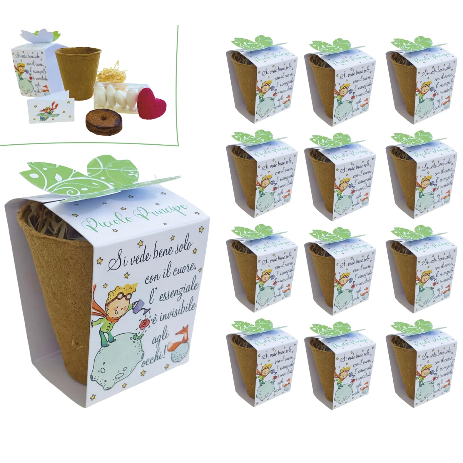 Regalami.shop12 Bomboniere Complete Eco-Sostenibili con Kit Fioritura Il Piccolo Principe - Set da 12 Pezzi per bomboniere Nascita, Battesimo, Comunione