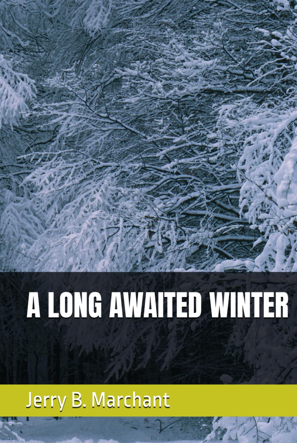 A LONG AWAITED WINTER
