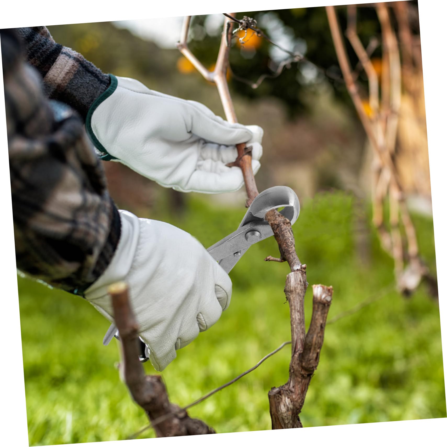 KOMBIUDA Taglierina Bonsai in Acciaio al Carbonio, Design Ergonomico e Controllo Preciso per Potatura e Modellatura dei Rami in Giardino
