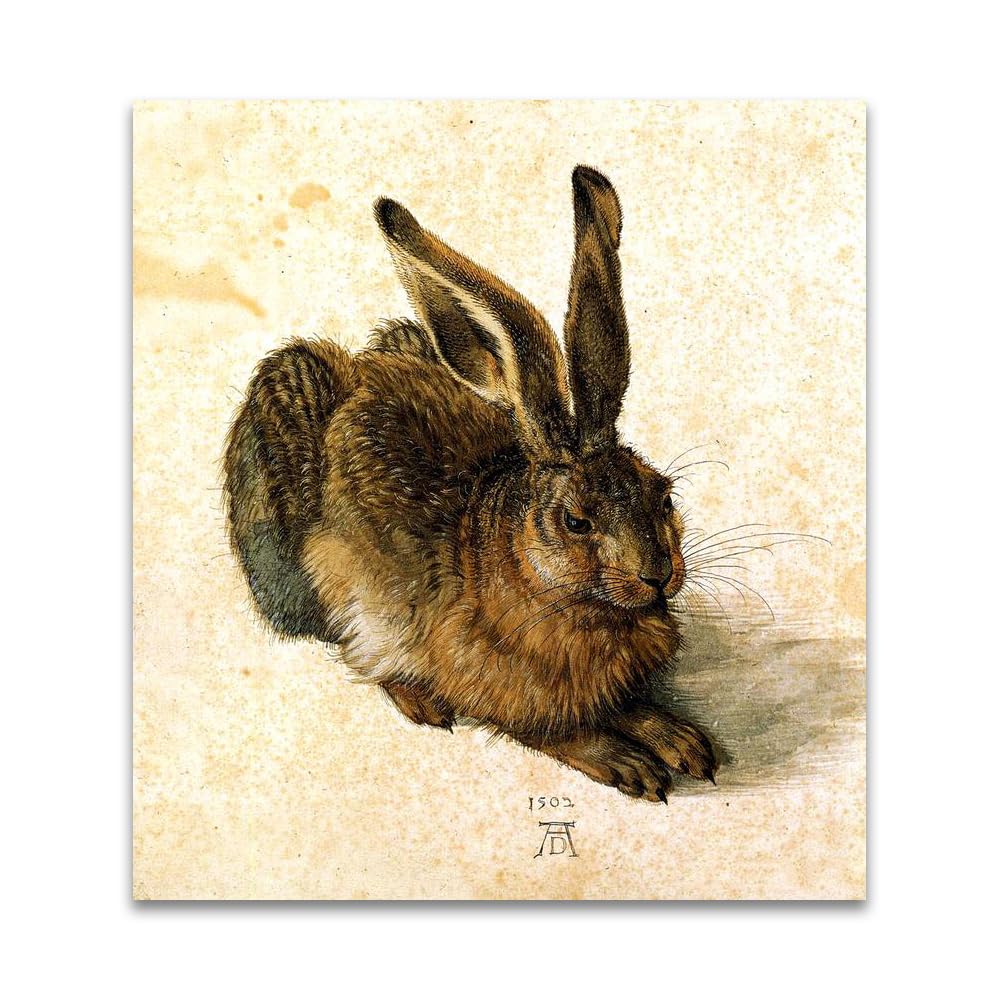 LZ6J8C9 Young Hare by Albrecht Dürer- Religious Art Print Poster on Canvas- Famous Painting Canvas Wall Art(40x50cm(15.8x19.7in)/Frameless)