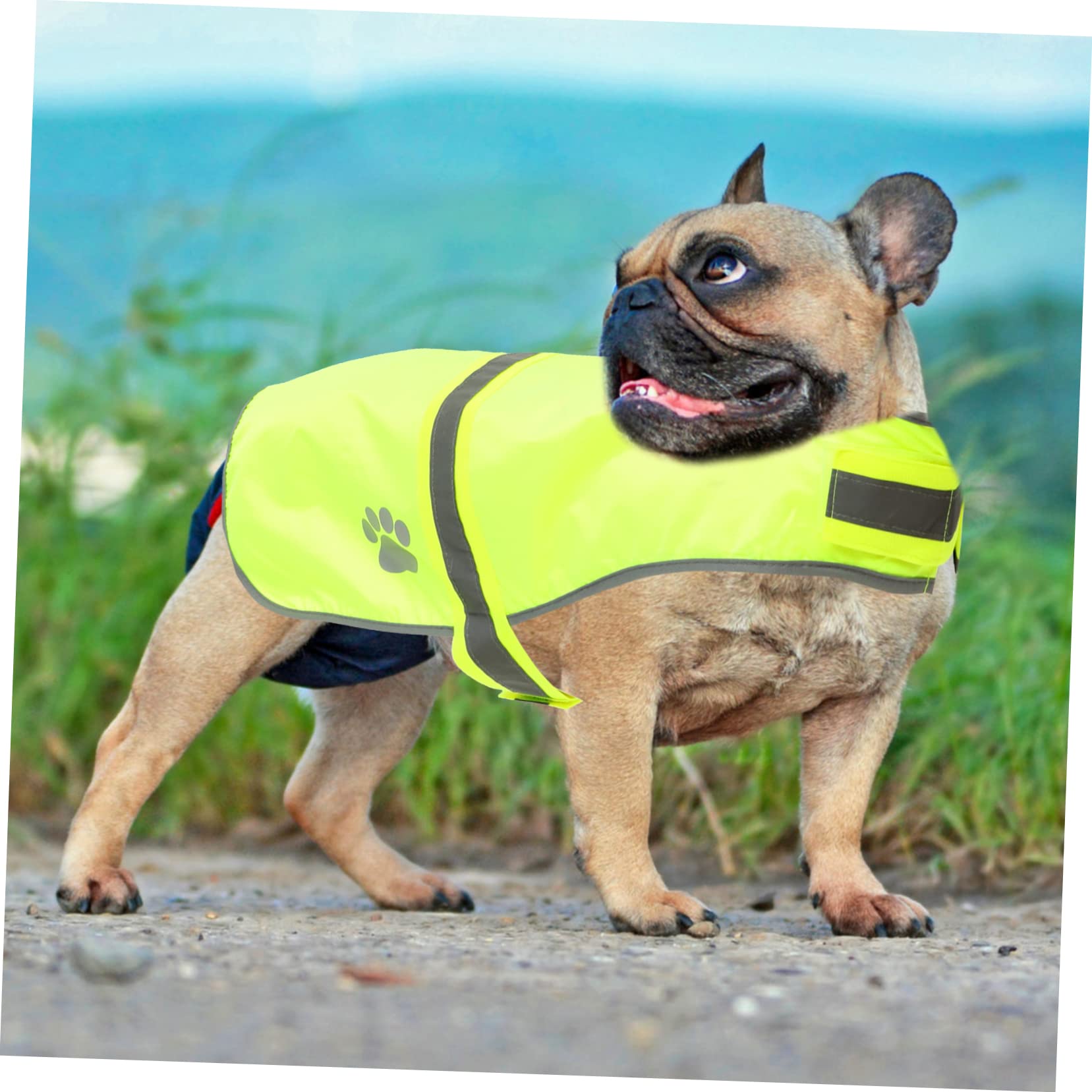 Sosoport 3piezas Chaleco Reflectante para Perros y Transpirable Ropa Fluorescente De Alta Visibilidad para Mascotas para Paseos Nocturnos y Actividades Al Aire