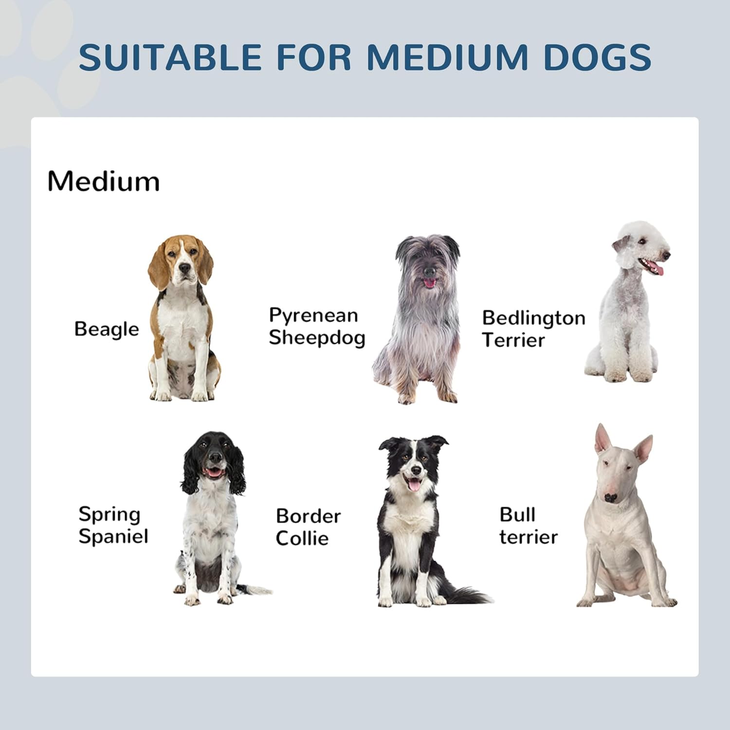 Elevated Double Dog Cat Bowls for Indoor Cats，Raised Stainless Steel Dog Cat Bowl Elevated,Pet Feeding Bowls for Food and Water Suitable for All Dogs Cats