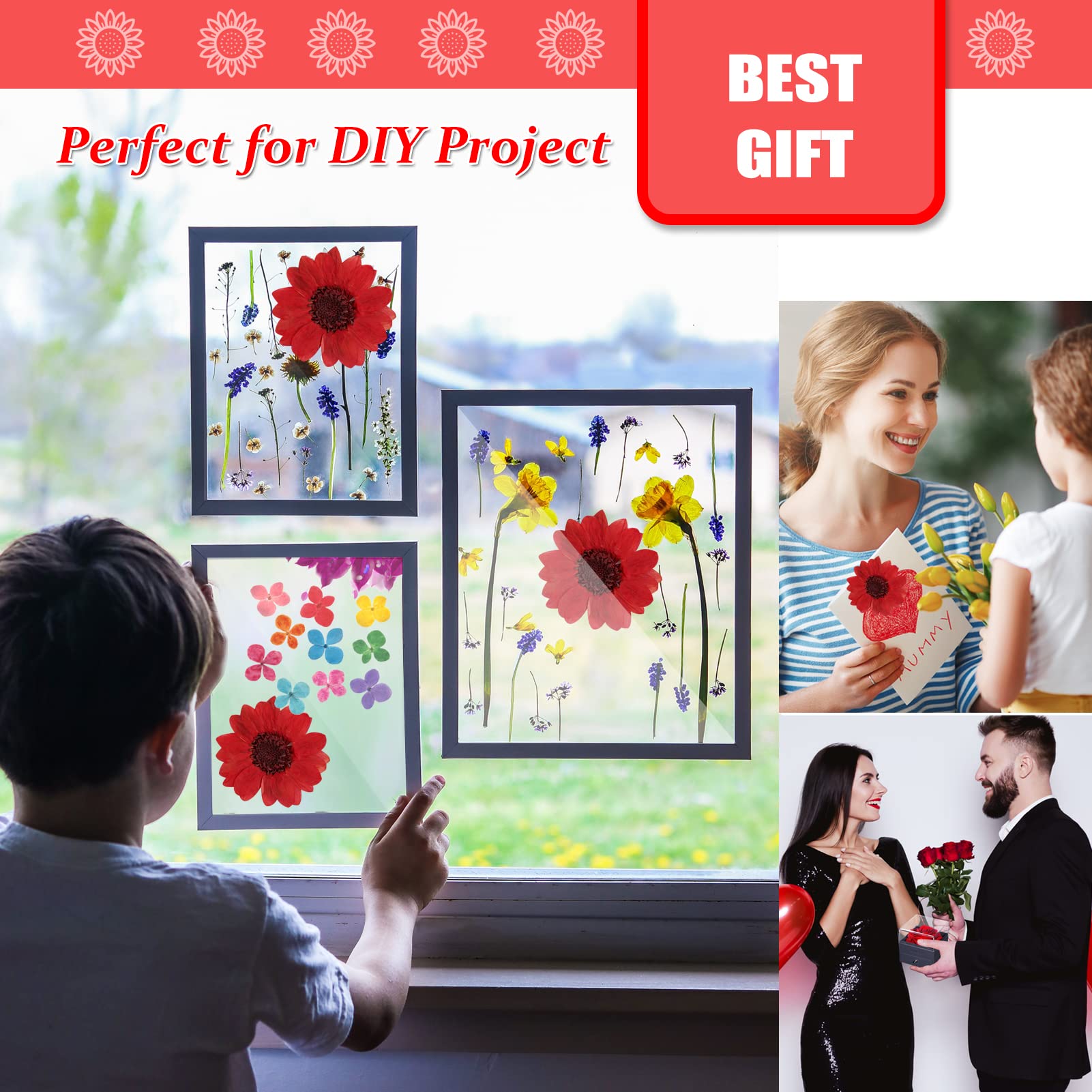 60 Stück natürliche kleine getrocknete Sonnenblumen für Harz, rote echte gepresste Sonnenblume trockene Sonnenblumen zum Basteln DIY Epoxidharz Form Schmuck Kerzen Scrapbooking Kartenherstellung Home
