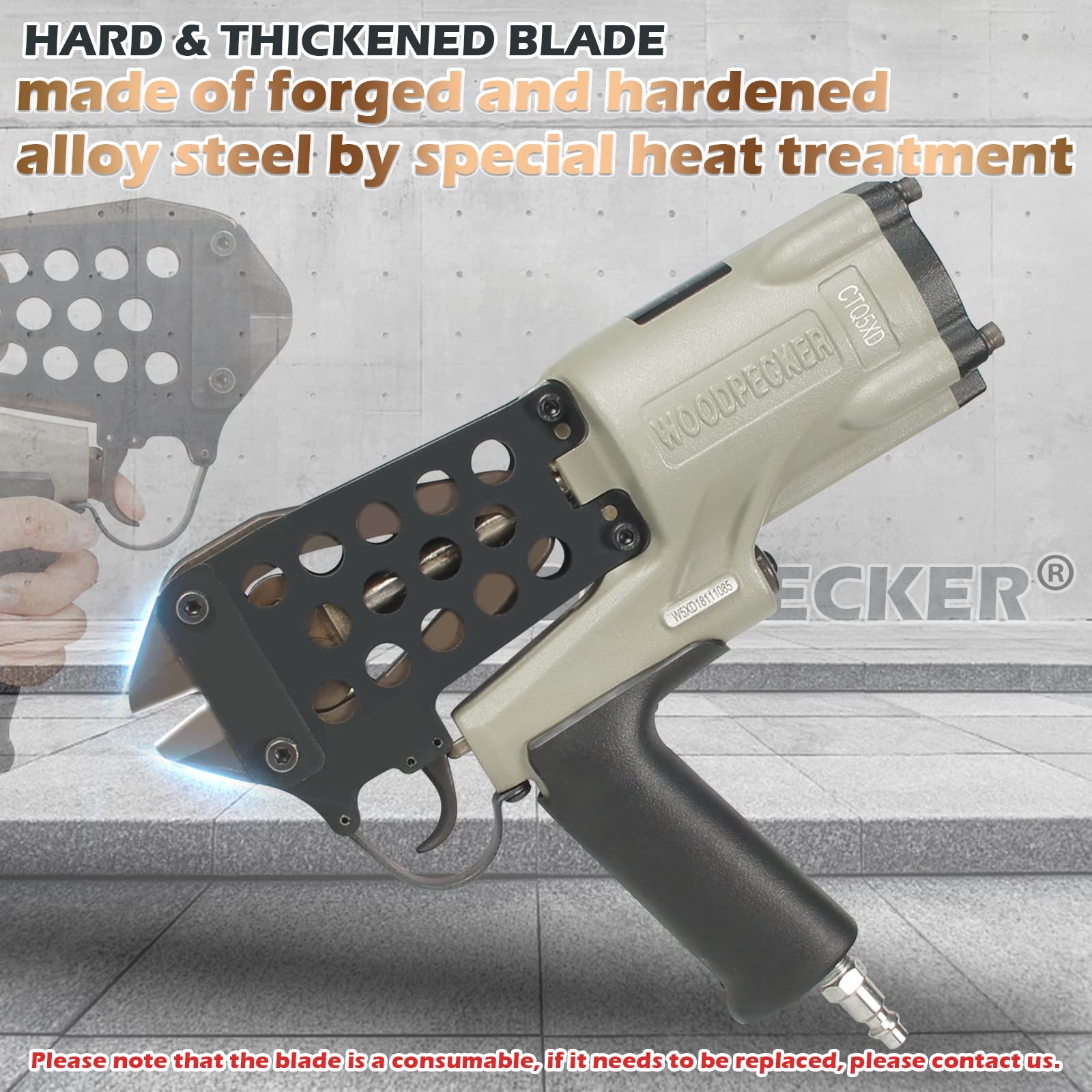 Sfogliatrice Automatica - TL/200 - PAMA ROMA - Con Taglierina - Foto 5