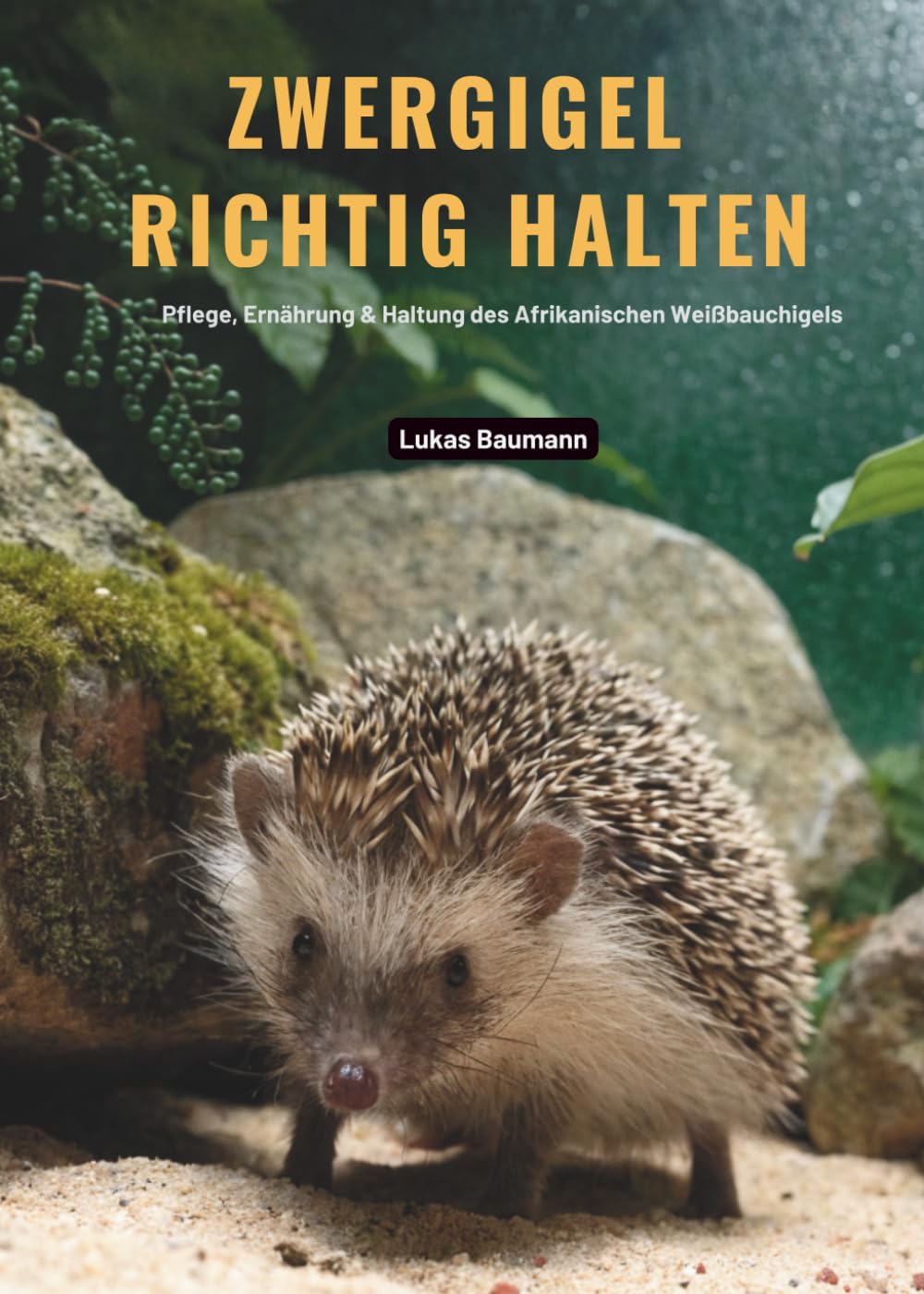 Zwergigel richtig halten: Pflege, Ernährung & Haltung des Afrikanischen Weißbauchigels