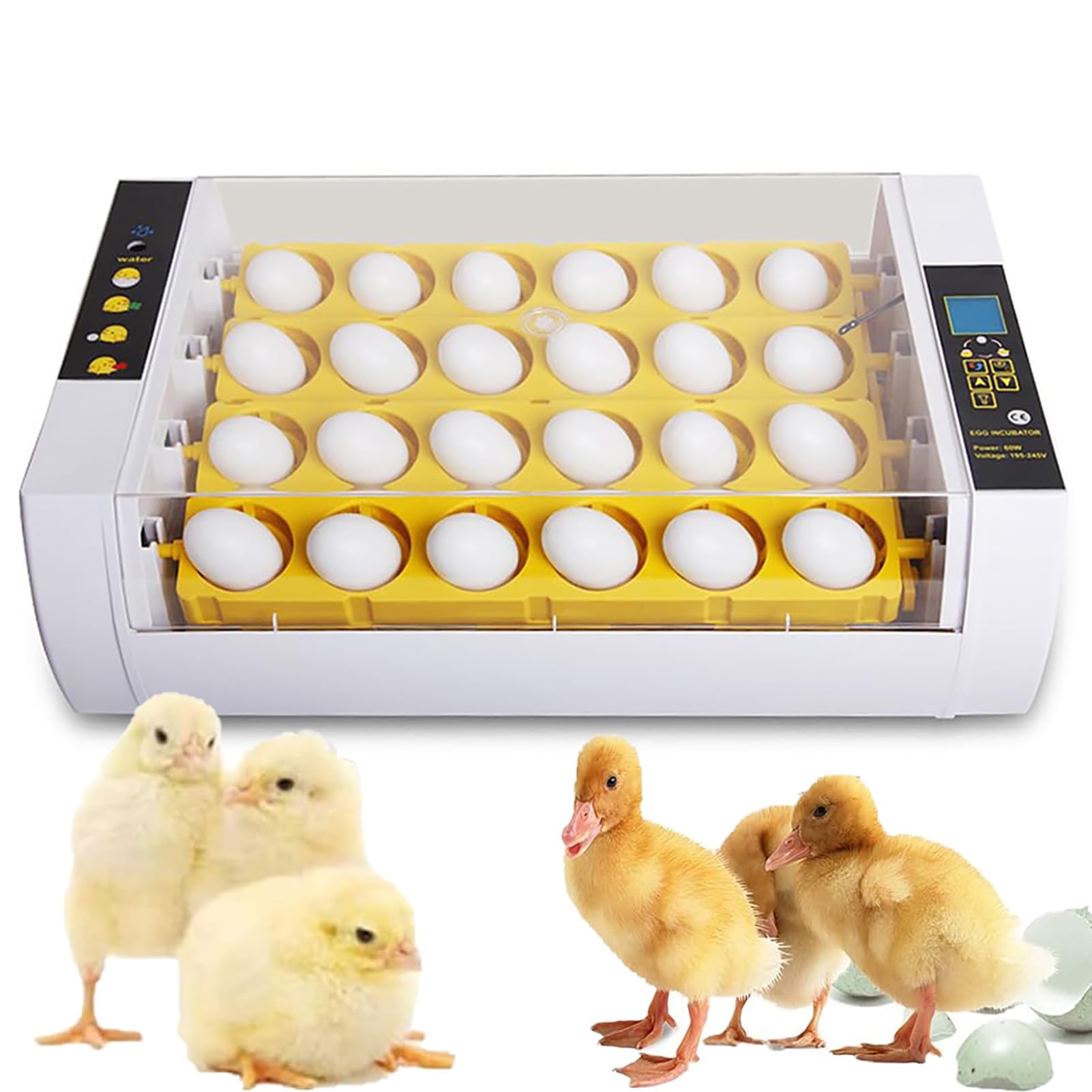Incubateur d'œufs automatique pour réussir vos éclosions de poussins sans pertes