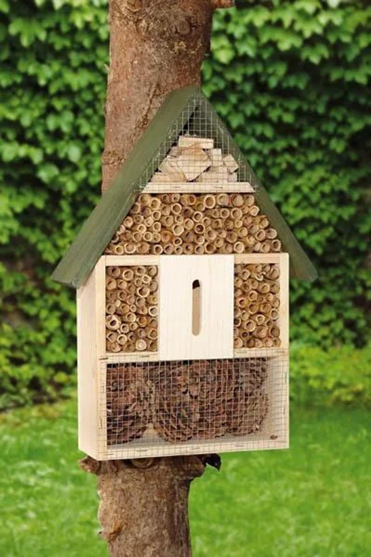 Insektenhotel XXL 40x28x9 cm aus Kiefer Bambus Pinie - für Wildbienen Marienkäfer Schmetterlinge Artenschutz Garten Ganzjährig Sonniger Standort