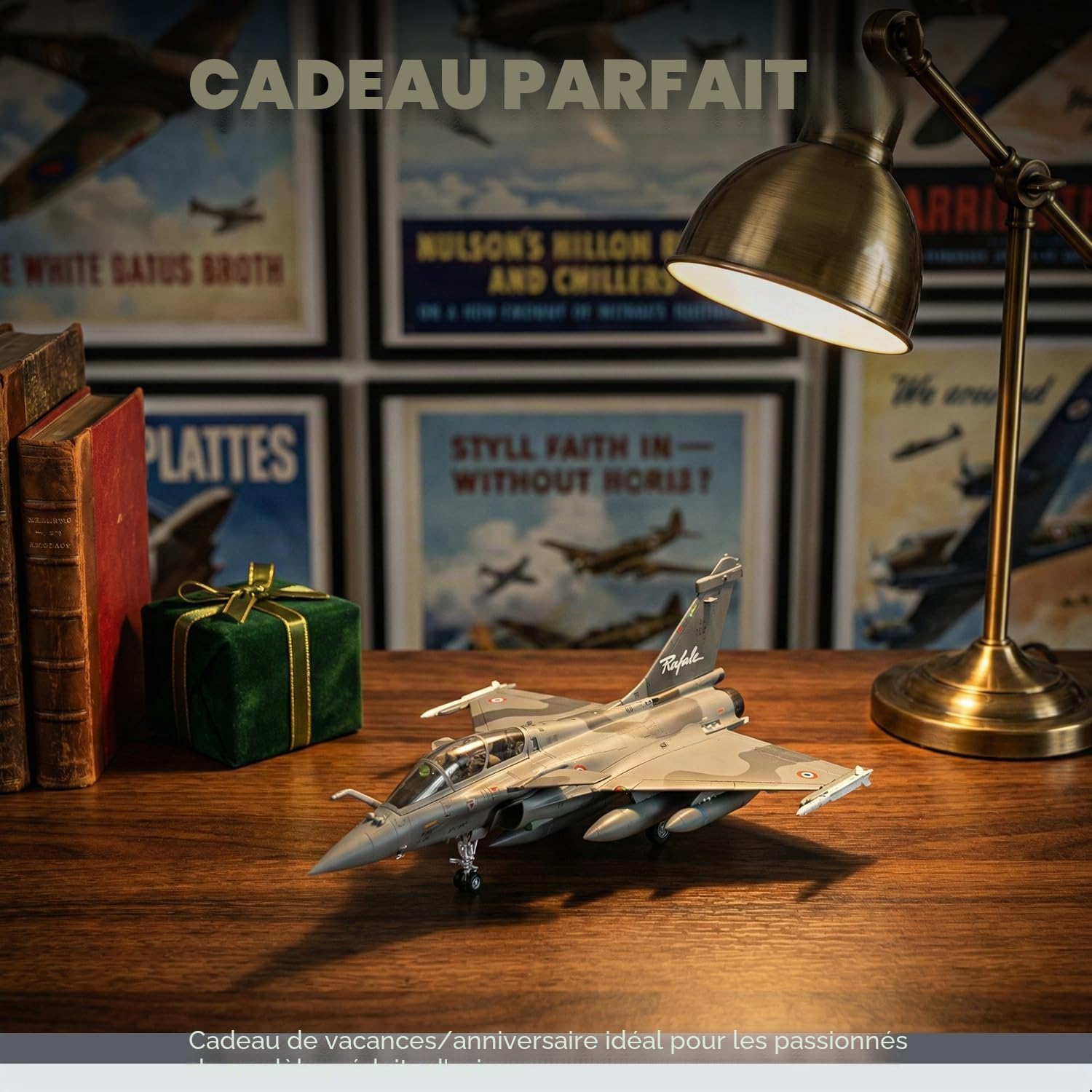 Modèle d'avion Rafale B à l'échelle 1/100, modèle Dassault de l'armée française de l'air et de l'espace multi-rôles, modèle miniature 113-HK en métal moulé sous pression pour adulte collection