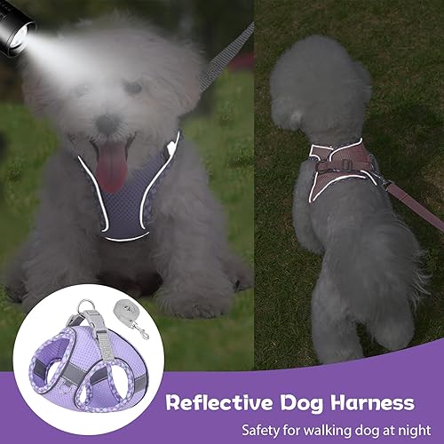 Miniatura 5 de Lindo arnés a cuadros para perros pequeños, de malla suave, arnés y correa para perros pequeños, arnés y correa para perros pequeños, chaleco para