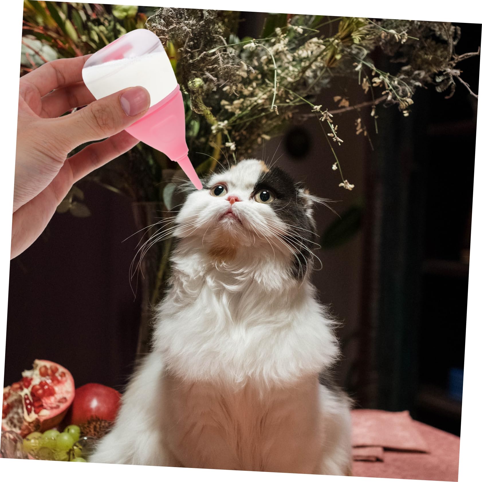 TOBBOMEY Newborn Pet Nursing Bottle for Puppy Kitten Small Pets Squeeze Milk Bottle Easy Cleaning Portable Design