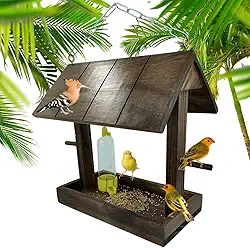 Comedouro passaros livres em liberdade Bebedouro (Betume Egípcio)