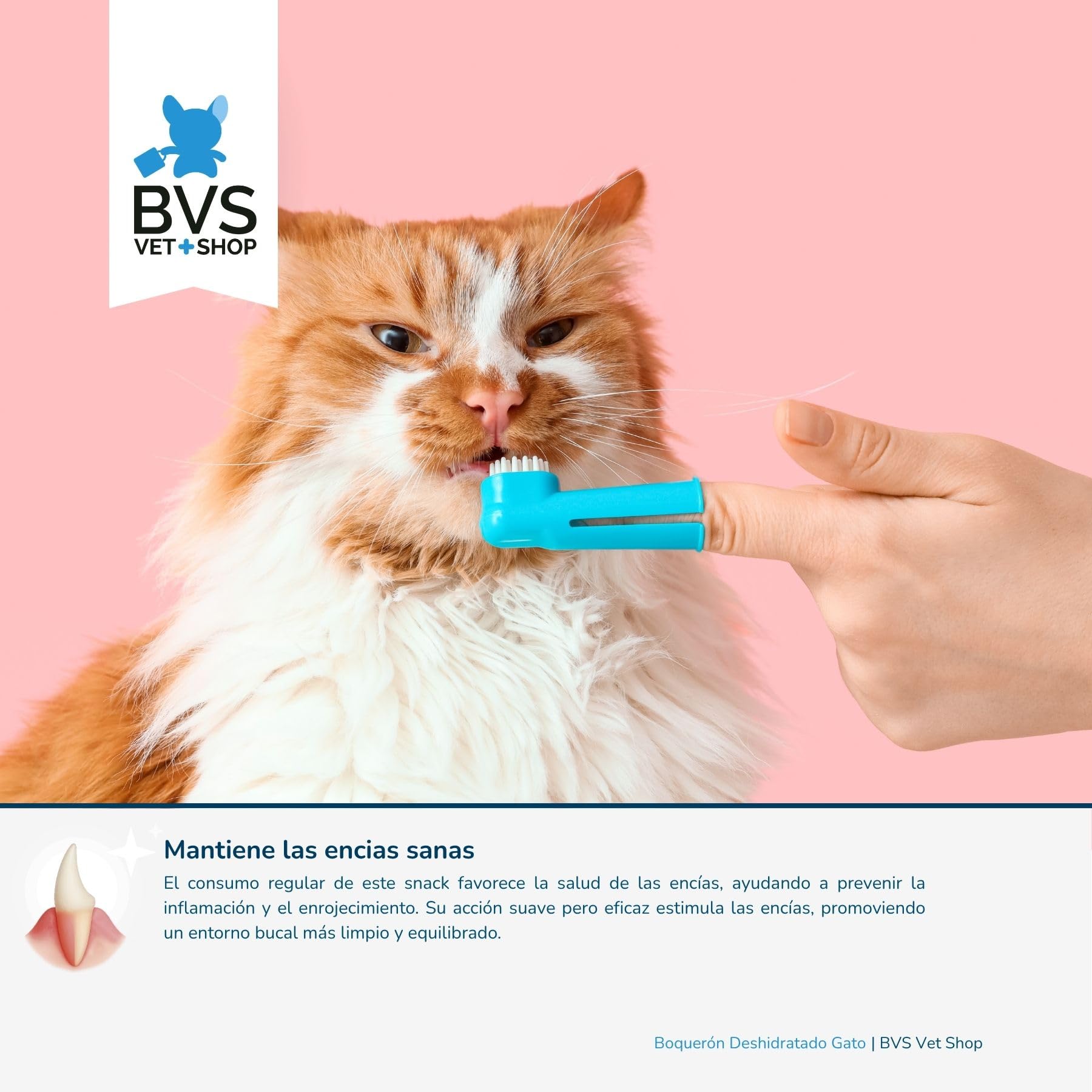 BVS Vet Shop | Boquerón Deshidratado para Gatos | Ayuda a Mantener una dentadura Sana y una higiene bucodental óptima | 60 gr