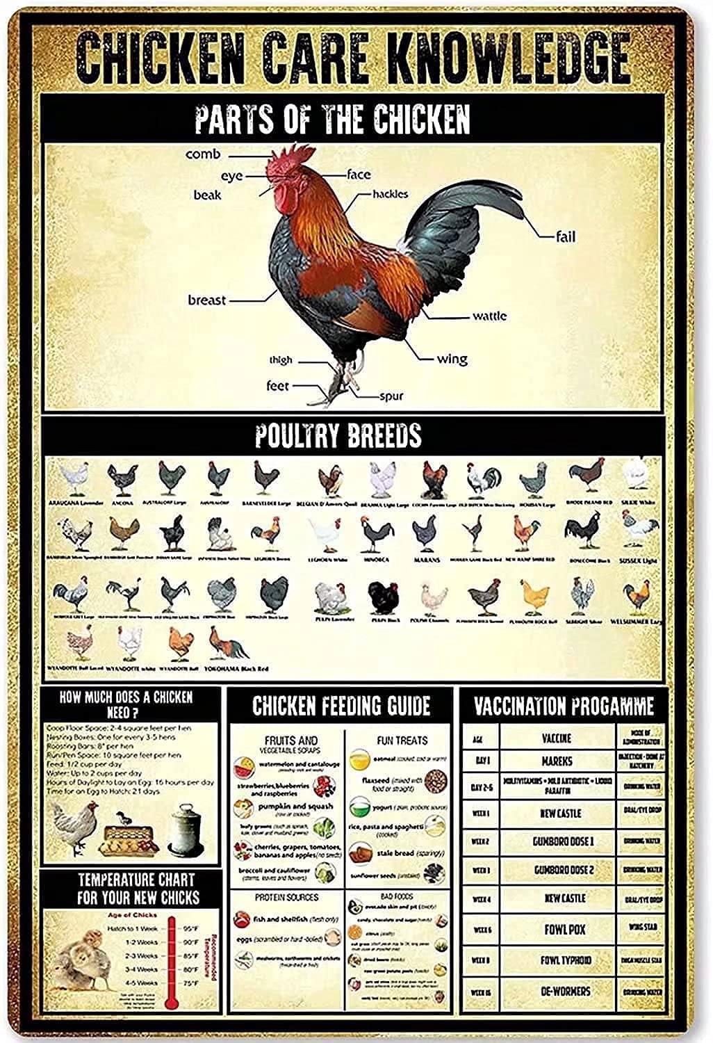 Tin Sign Chicken Care Knowledge Metal Tin Sign,Man Cave Wall Decoration Home Restaurant Cafe Bar Sign Outdoor Classic Signs 12X16 Inches