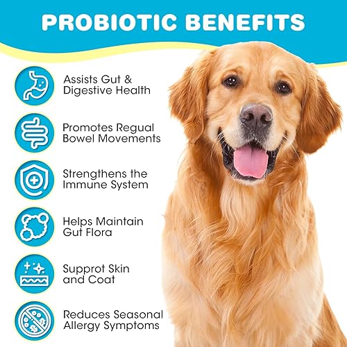 Miniatura 3 de PerkPaw Probióticos para perros, probióticos para perros para diarrea y apoyo intestinal, las enzimas digestivas promueven la salud intestinal, la
