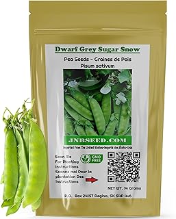 Dwarf Grey Sugar Snow Pea Seeds (Approx. 50 Seeds-14 Grams) Grow Your Own Delicious Peas