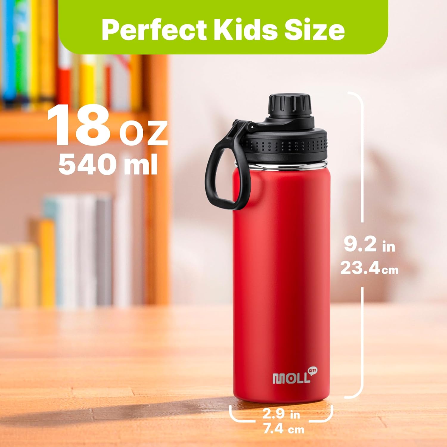 Insulated Water Bottle-18 oz Stainless Steel Vacuum Wide Mouth Sports Flask with Silicone Boot-Reusable Metal Leak Proof Christmas Water Bottle for Girls Boys, BPA-Free(Canyon Red)