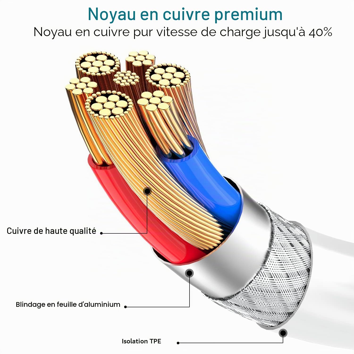 Câble iPhone 3M [Certifié Apple MFi],Câble Chargeur Lightning 3M Long Câble Lightning Cable i Phone USB Cordon iphone Charge Rapide Fil Chargeur pour iphone 14/13/12/11/Pro Max/X/XS/XR/8/7/6 Plus/SE