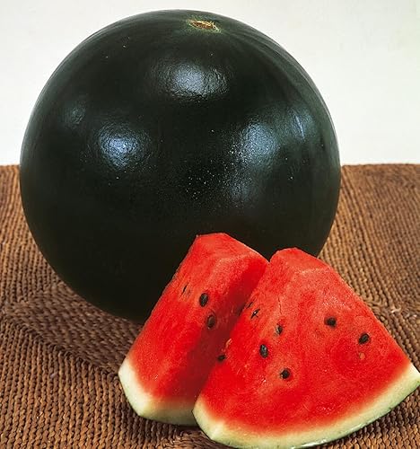 Miniatura 4 de Semillas Black Beauty Watermelon 9 lbs - Frutos para plantar - Sin OMG