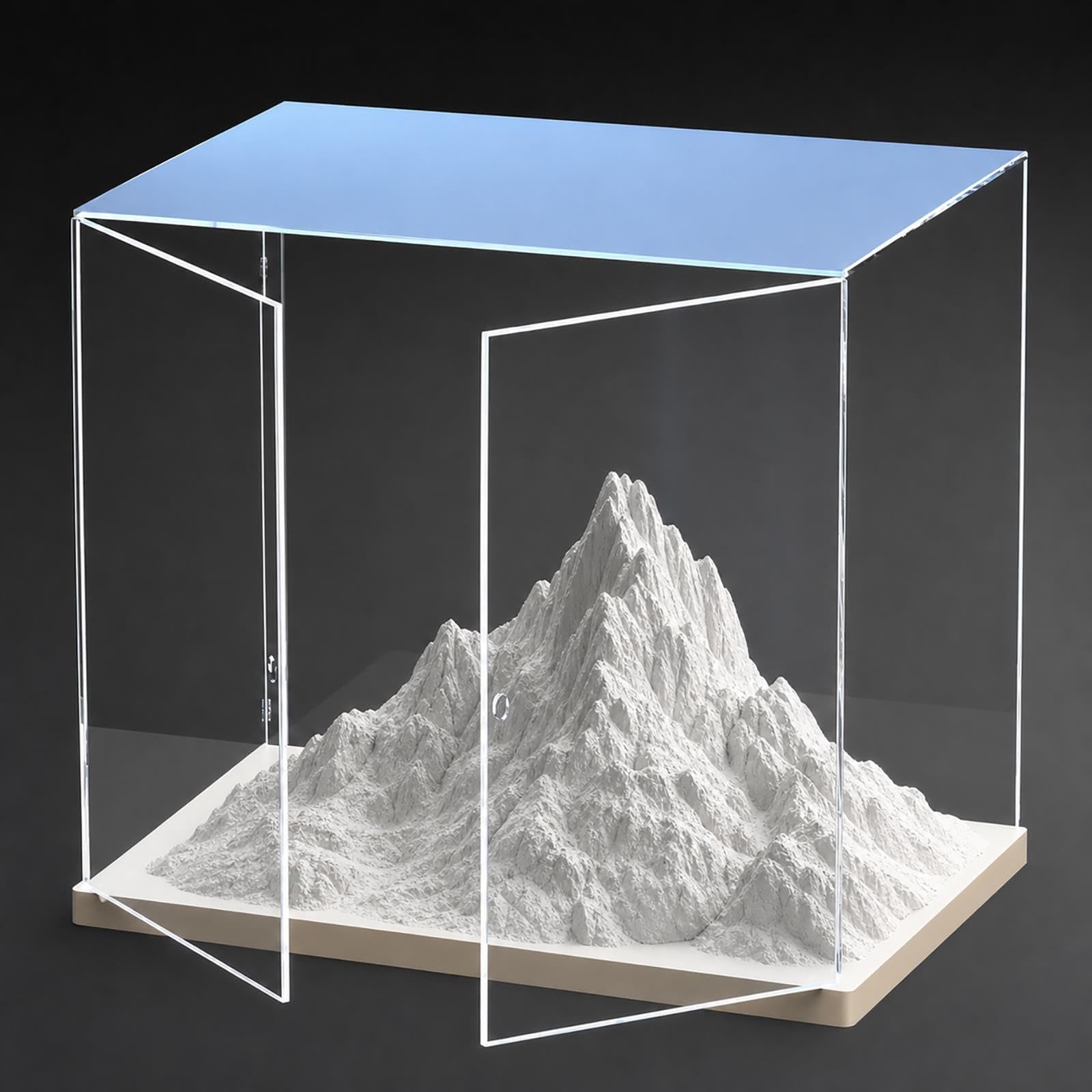 Vitrina Acrílica Extragrande (45-60 Cm) / Caja De Plástico