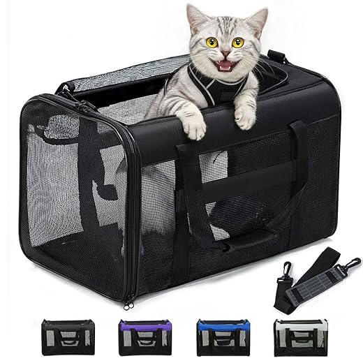 Cat Carrier Bag,Soft-Sided Pet Carriers for Dogs with 4-Sided Mesh,Airline Approved Cat Transport Carrier for Small&Medium Cats Kitten Puppy Up to 15Lb,Collapsible Cat Travel Carrier-M,Black