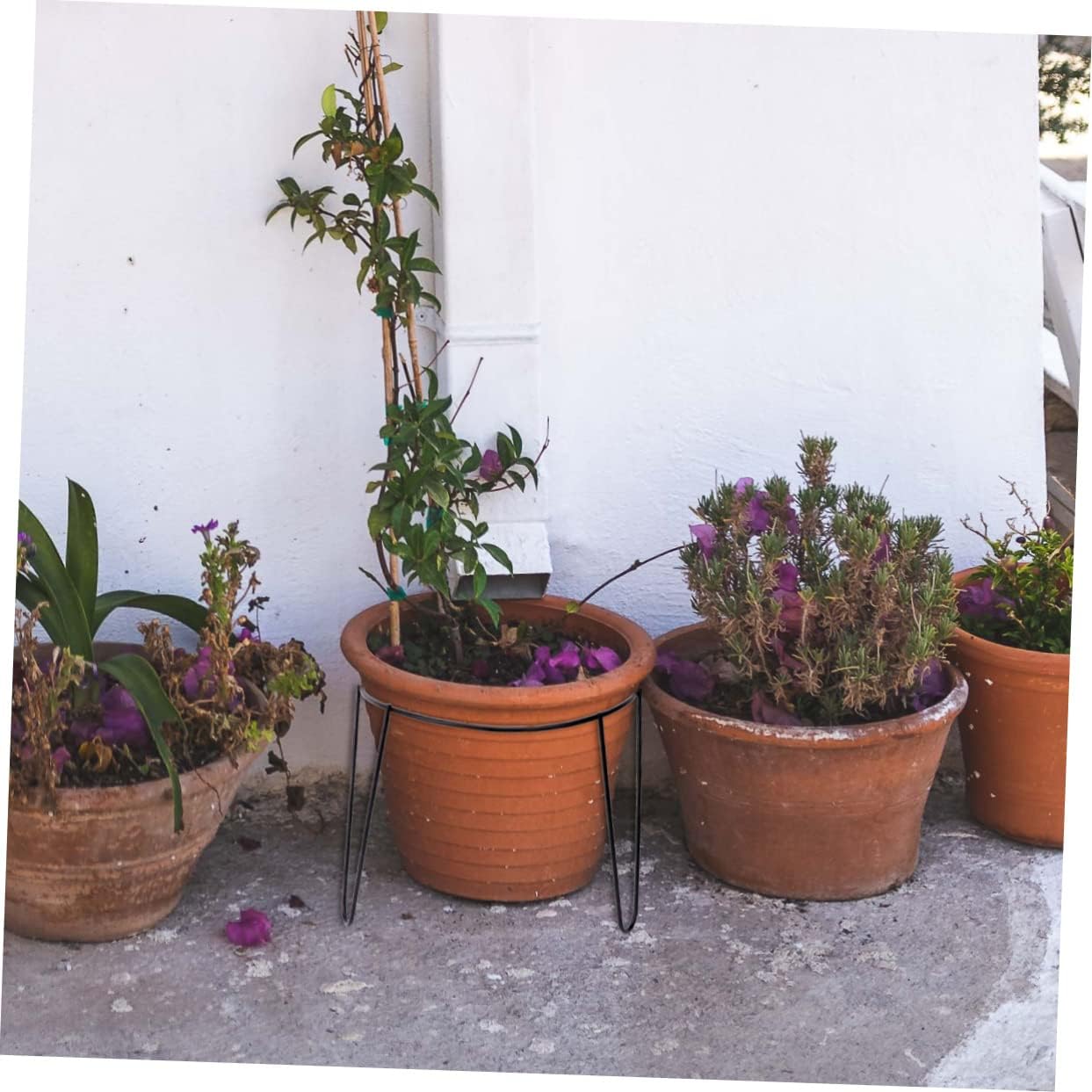 Tiered Plant Stand Indoor Flower Shelf Black Corner Plant Stands for Home Decor