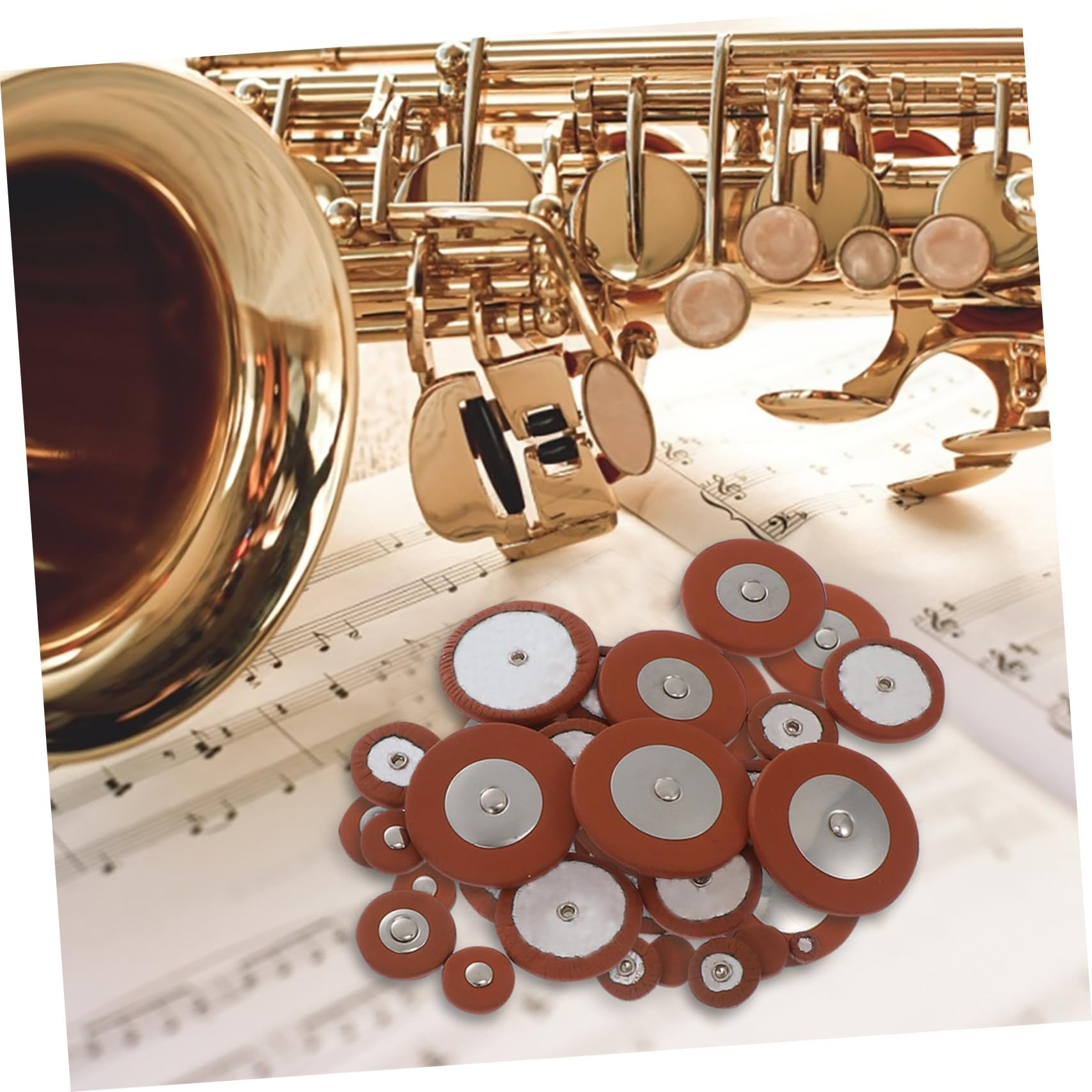 minkissy Kit Riparazione Sax Contralto in Inossidabile con Molle e Viti Resistenti per Strumenti Fiato Compatto per Manutenzione e Riparazioni Te Accessori Pratici e Durevoli per Saxophone