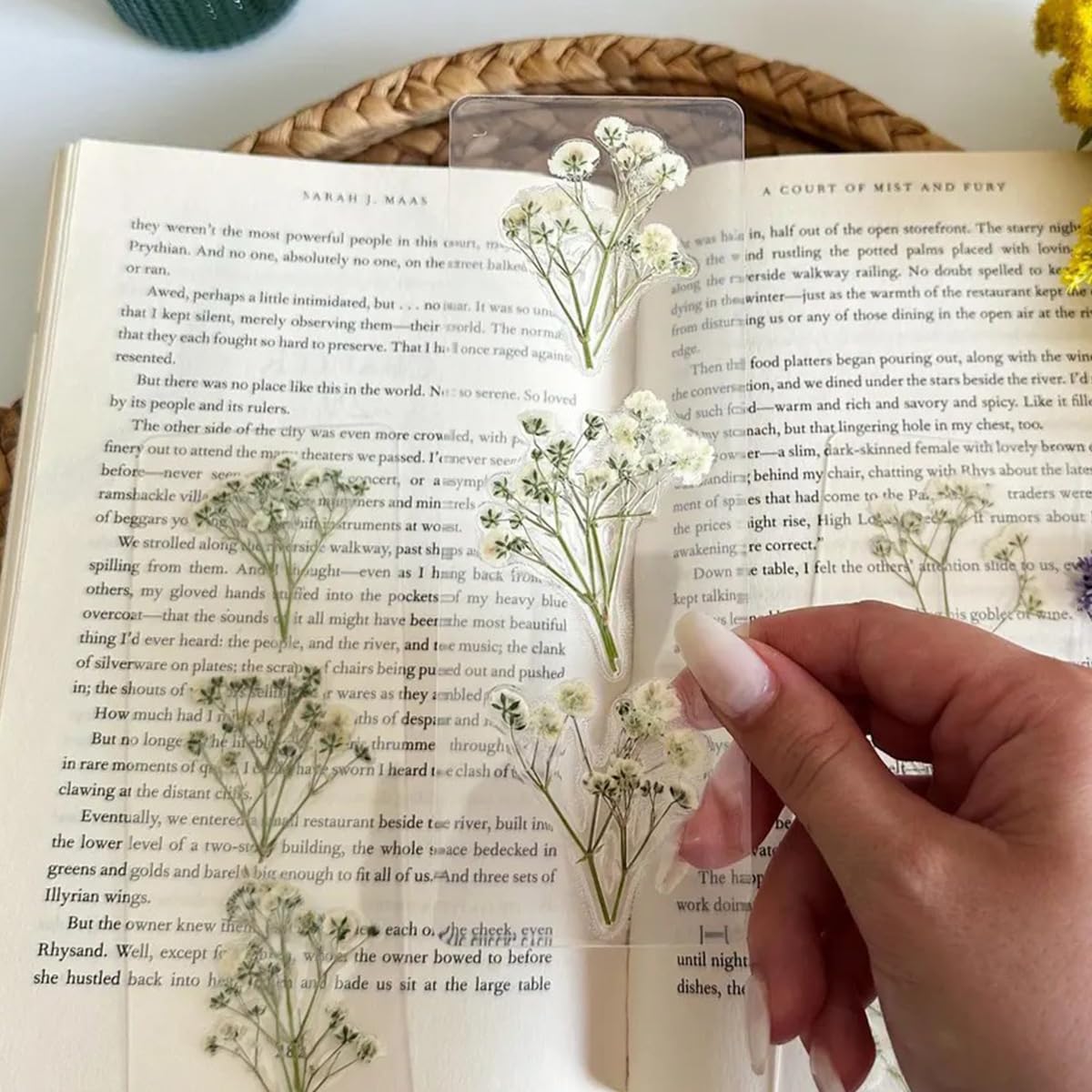 60 Fiori Secchi Pressati Stabilizzati Decorativi Gypsophila Bianca Natura e Mini Fiorellini per Bomboniere, Fiori Secchi per Bomboniere, Resina, Artigianato e Decorazioni Feste a Casa