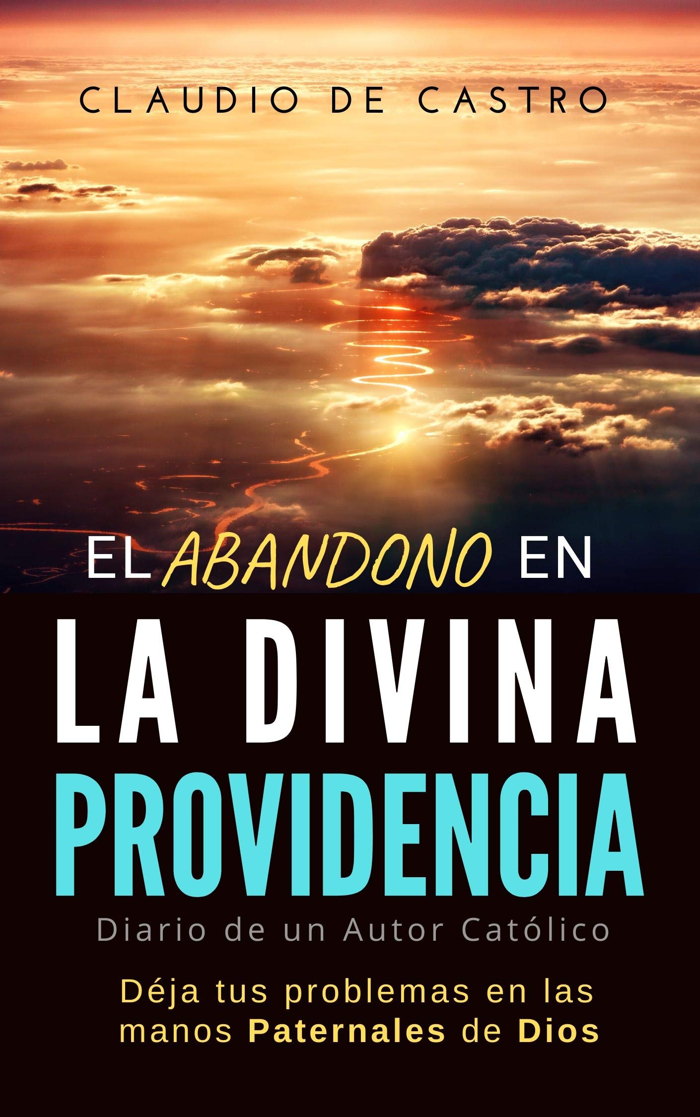 Buy EL ABANDONO EN LA DIVINA