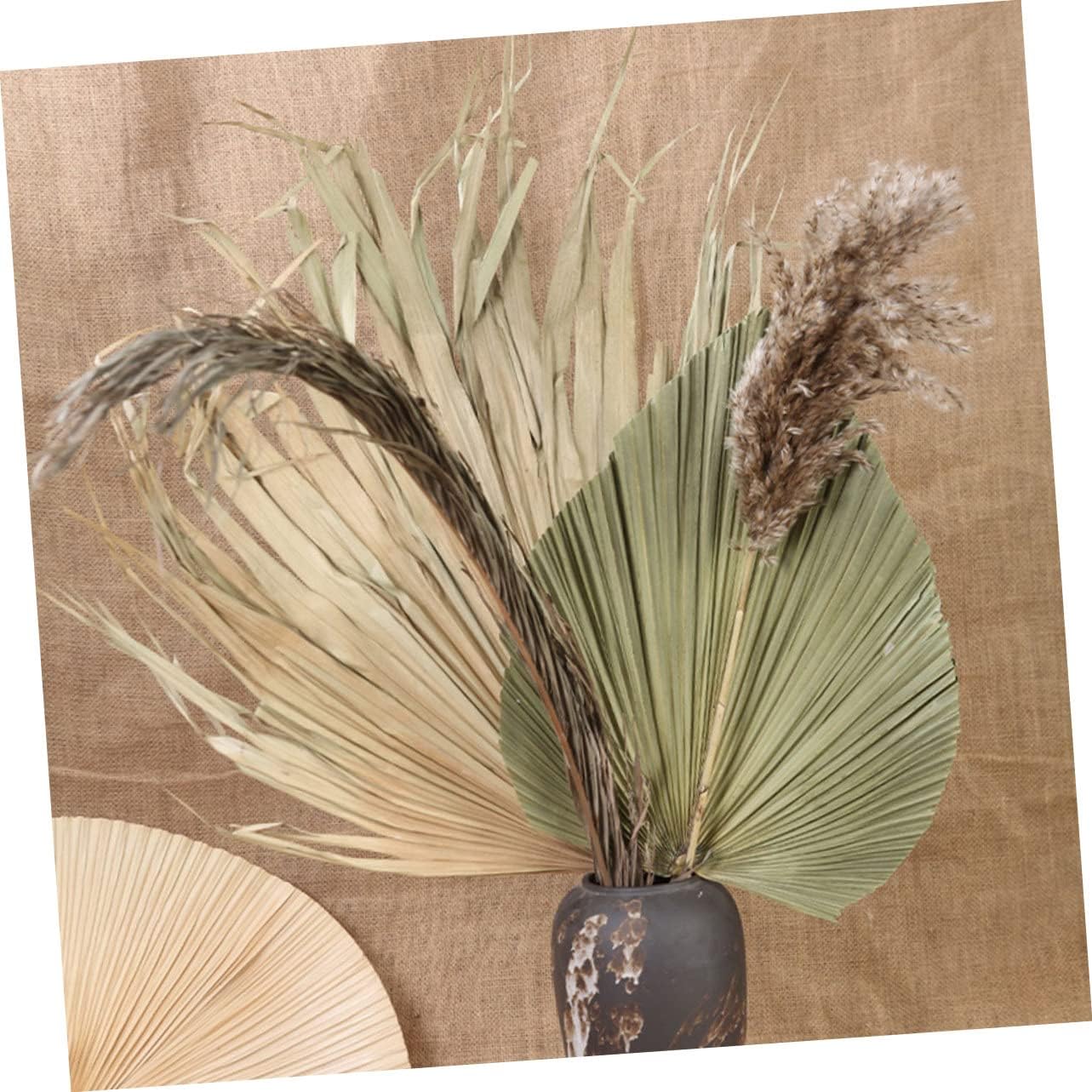 4pcs Dried Palm Leaf Decor Natural Wall Art Ornaments for Wedding and Party Decorations Easy Care Palm Leaf Decoration for Indoor and Outdoor Use for Holiday Setup