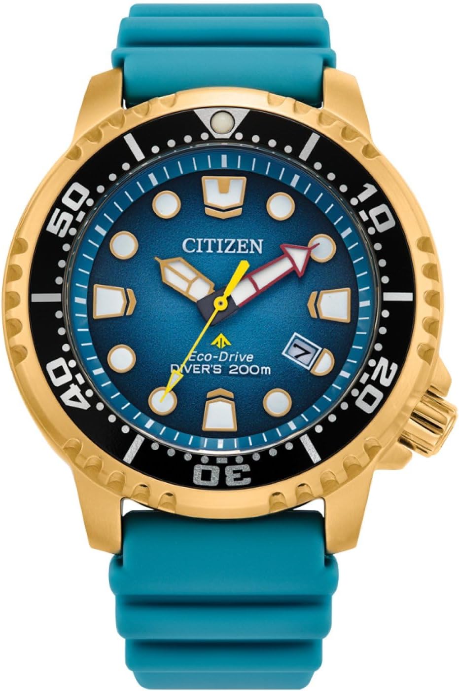 Gents Promaster Collection