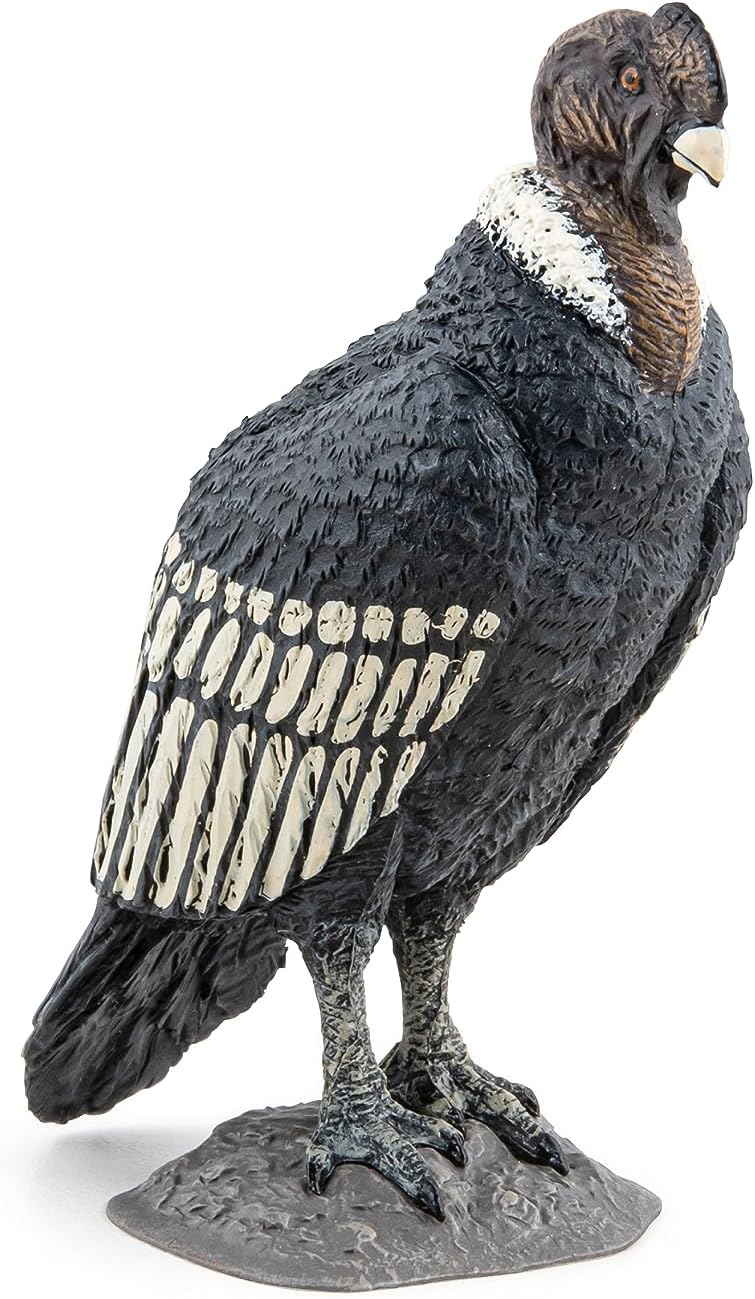 Papo - Realistic Condor Figure - Ages 3+ - Wild Life Collection - Educational Play Birds of Prey - Gift Idea Toy for Girls and Boys