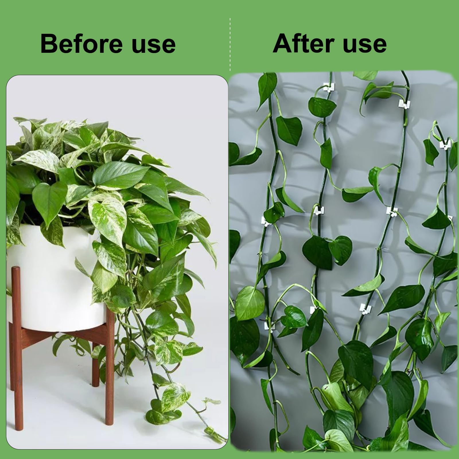 Lovesmile Attache Plante Grimpante, 50 Pièces Attache Plante, Forme De Feuille Clip Plante Grimpante Mur Avec 50 Pièces Clips Rotatifs, Plant Clips Convient Pour Jardins Plantes D'intérieur