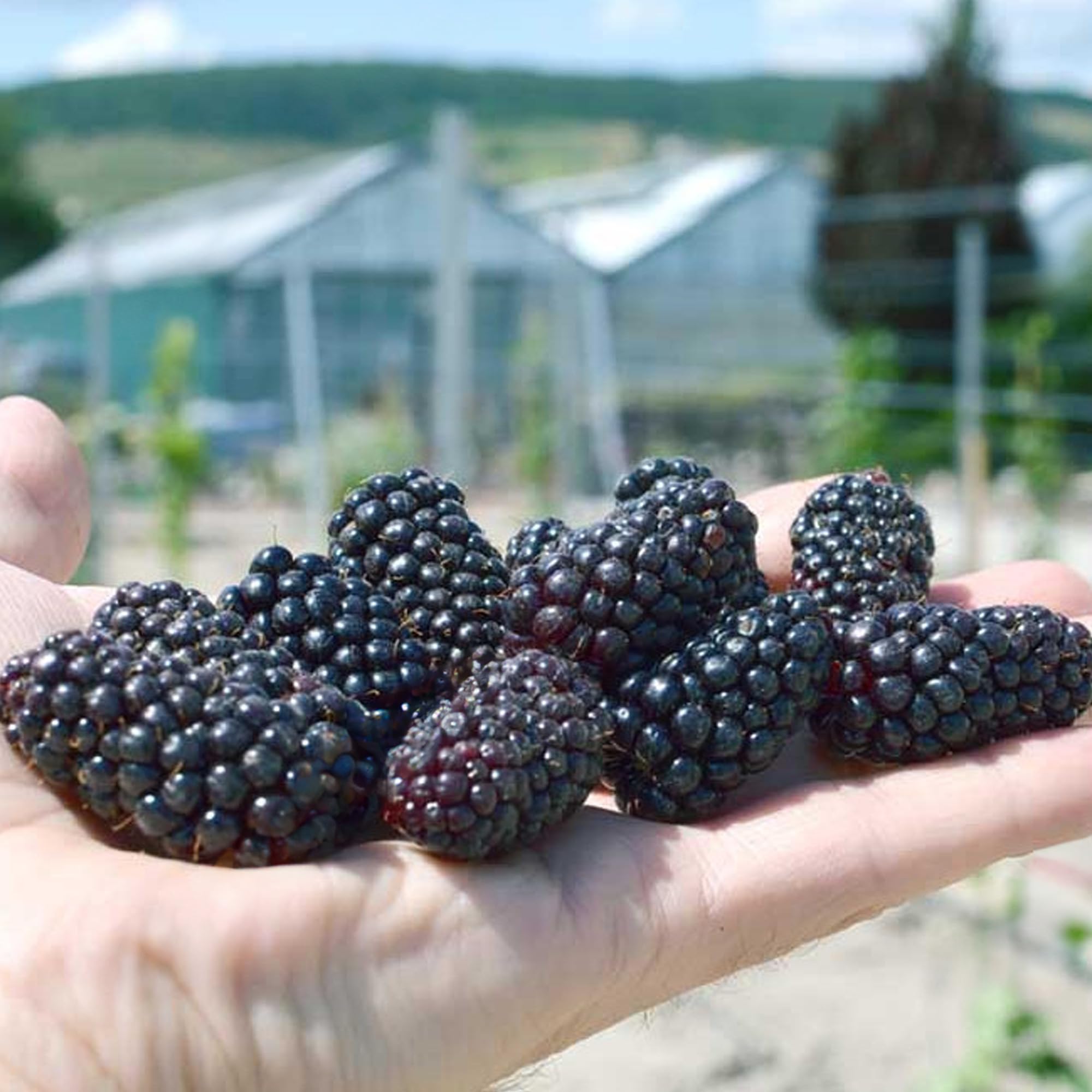 View 3