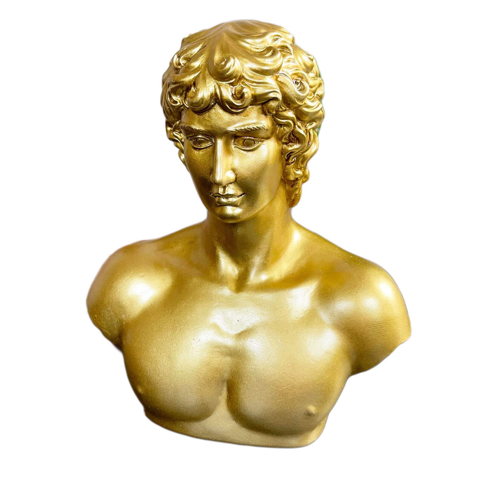 Darthome Shiny Gold Michelangelo David Resin Bust Decorative Head Sculpture Statues Gift 20cm (Looking Straight)
