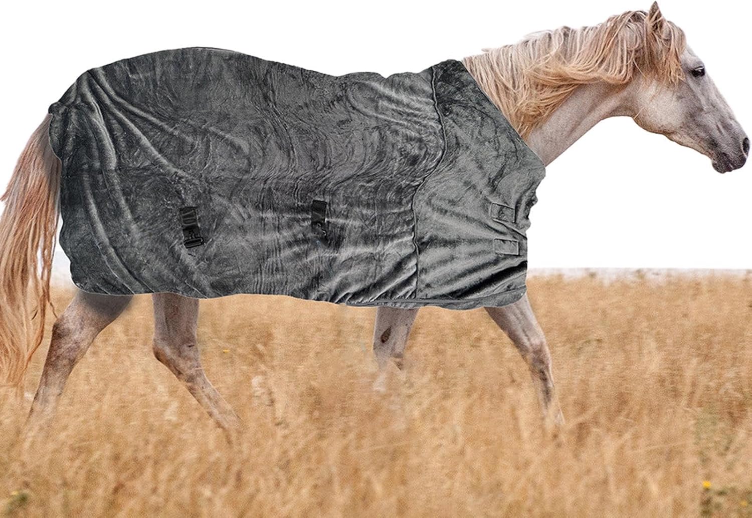 リンバスカンパニー ジャンパッド LIMBUS COMPANY ビジュアルバス