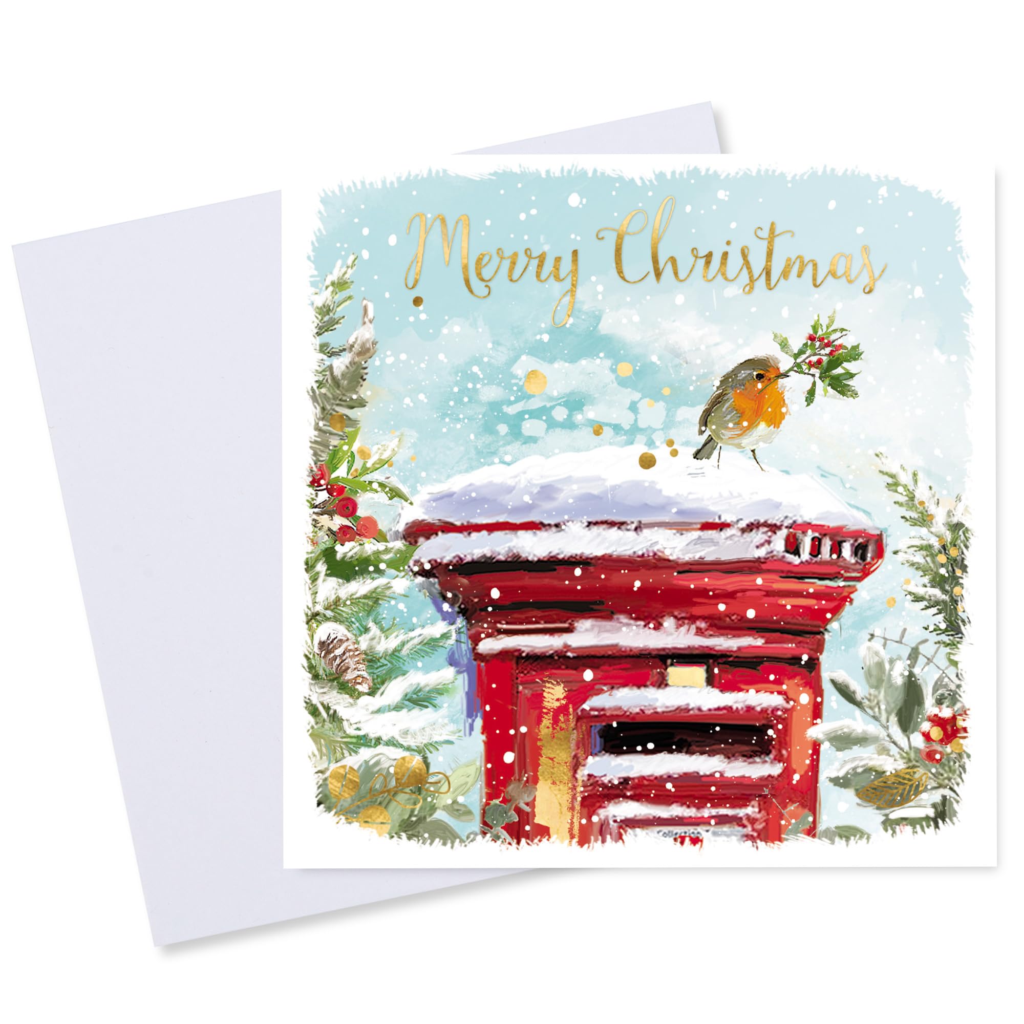 Macmillan Christmas Robins Charity – 20 Biglietti Di Natale Lussuosi Con Buste, 4 Disegni Di Pettirossi, Carta FSC 250g/m²