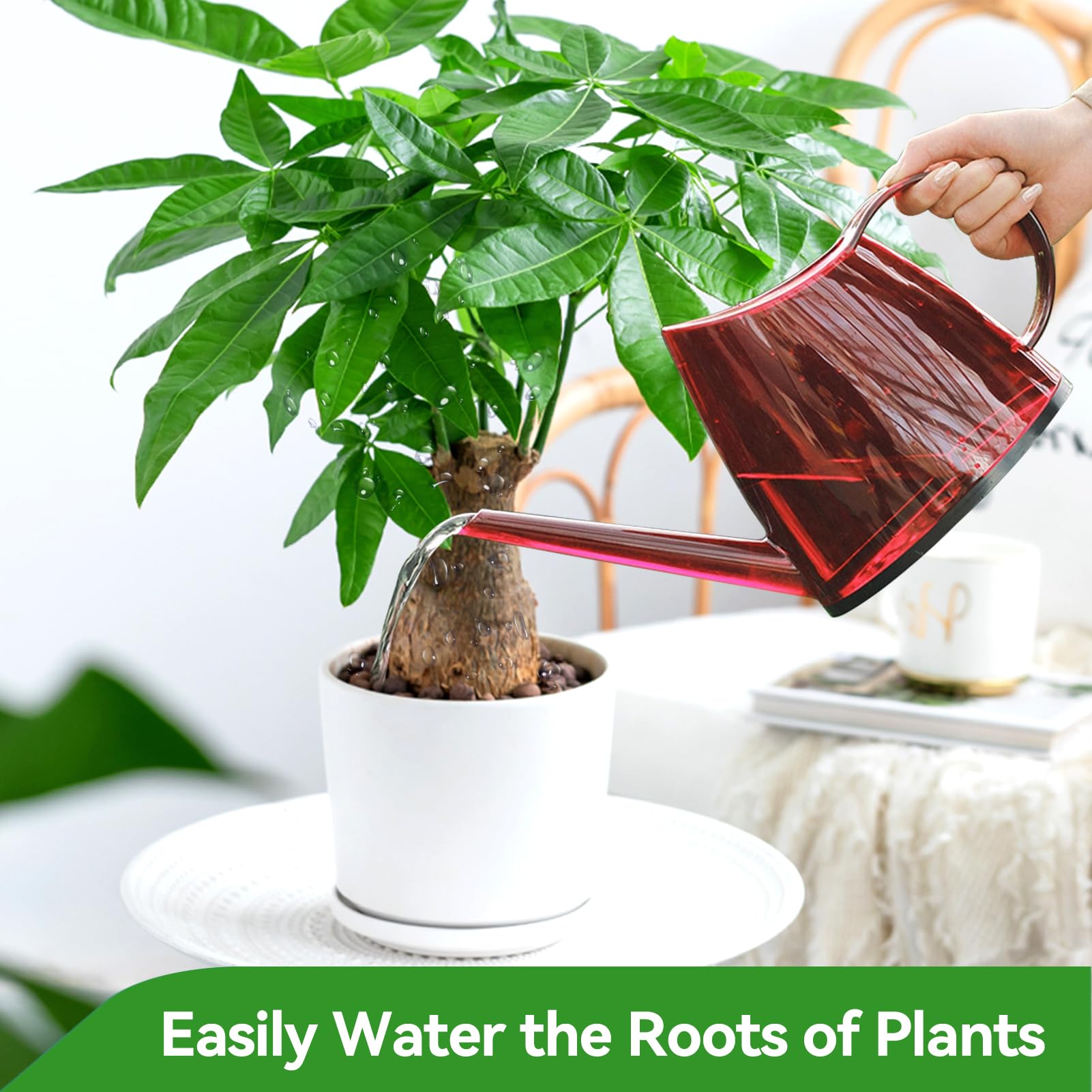 1.2l Watering Can Indoor, Long Spout Small Watering Can Indoor Plant Watering Can - Image 4