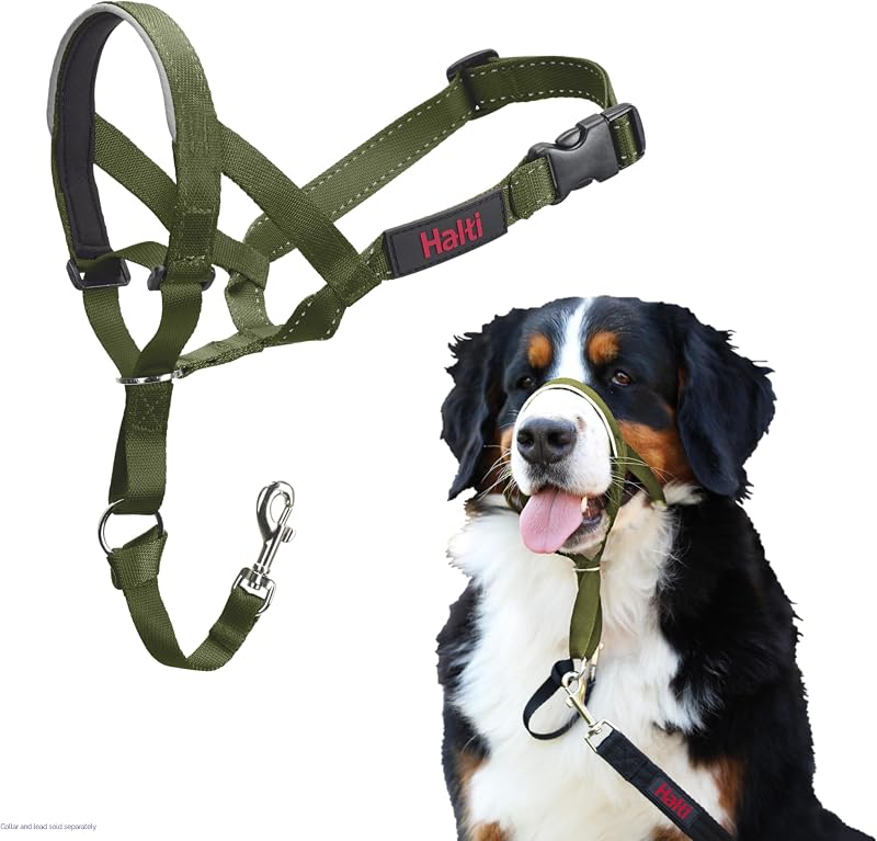 Headcollar for Dogs | Size 4, Forest Green | Stop Your Dog Pulling on the Leash | Adjustable, Reflective, Lightweight | Padded Nose Band | Training Collar for Large Dogs