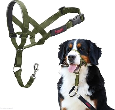 Halti Headcollar - Stop Your Dog Pulling on the Leash. Adjustable, Reflective and Lightweight, with Padded Nose Band. Dog Training Anti-Pull Collar for Large Dogs Size 4, Forest Green