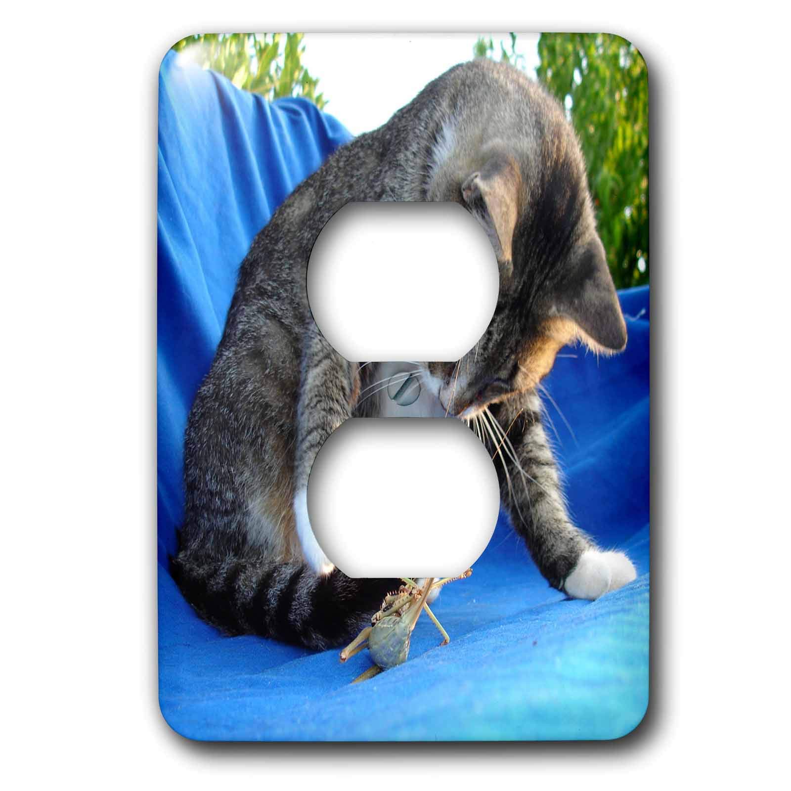 Couvercle de prise chat Tabby Cat pour sublimer la décoration d'une chambre d'enfant