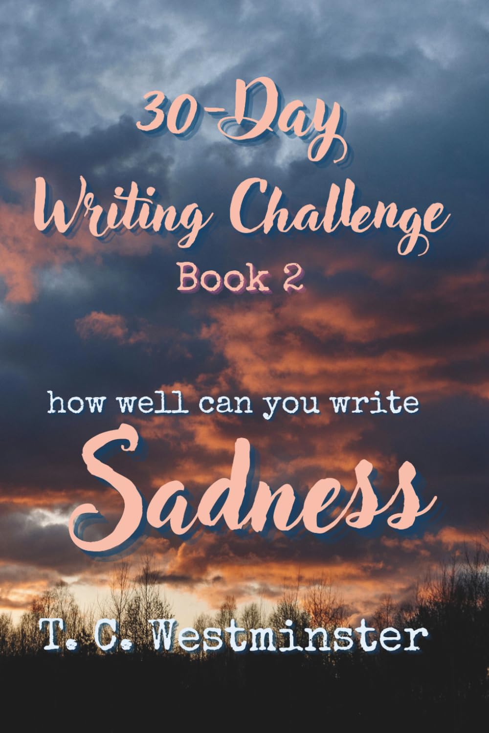 30-Day Writing Challenge Book 2: How Well Can You Write SADNESS (Master Writing Emotions A Series 30-Day Writing Challenge)