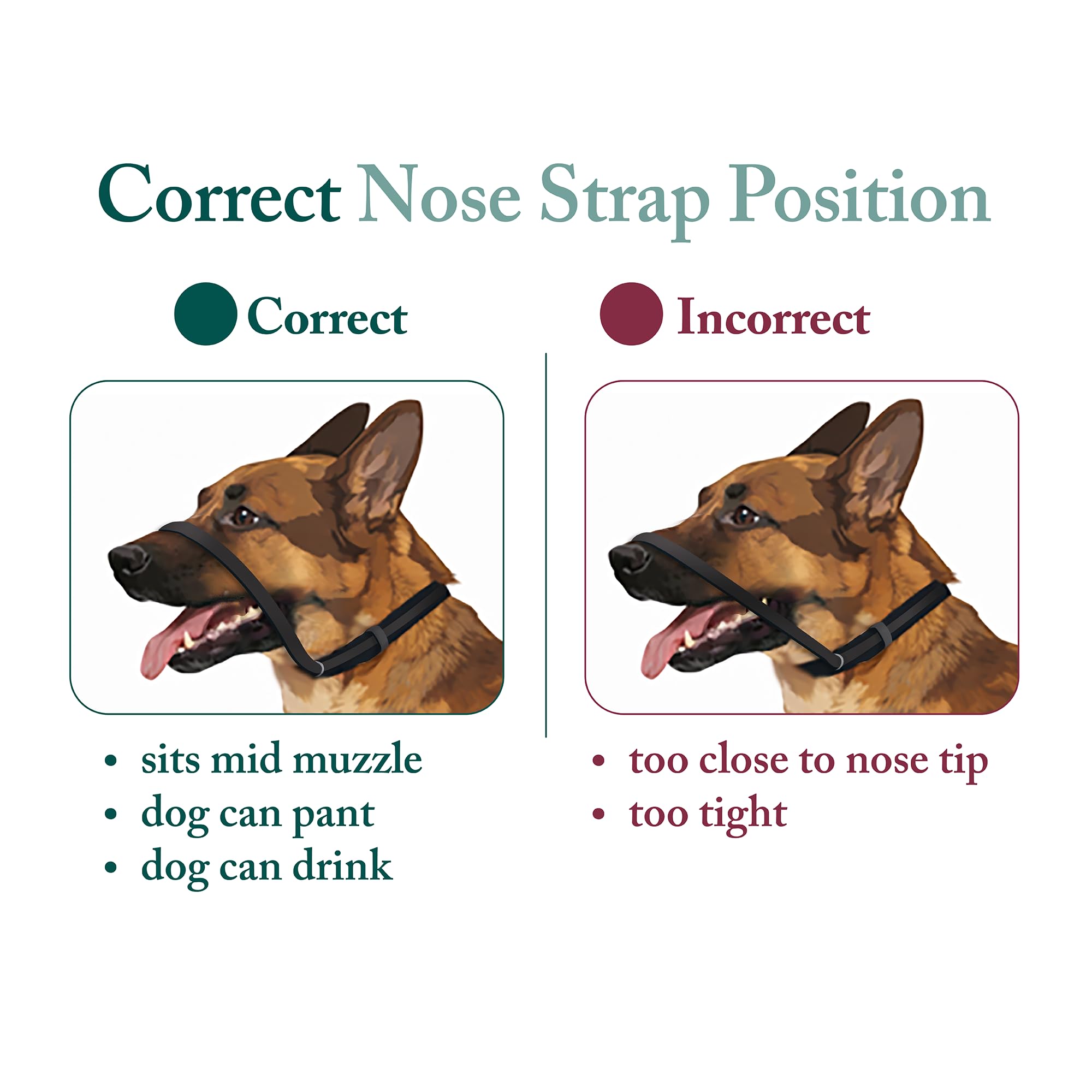 SPORN Head Dog Halter, Black, Large - image 5