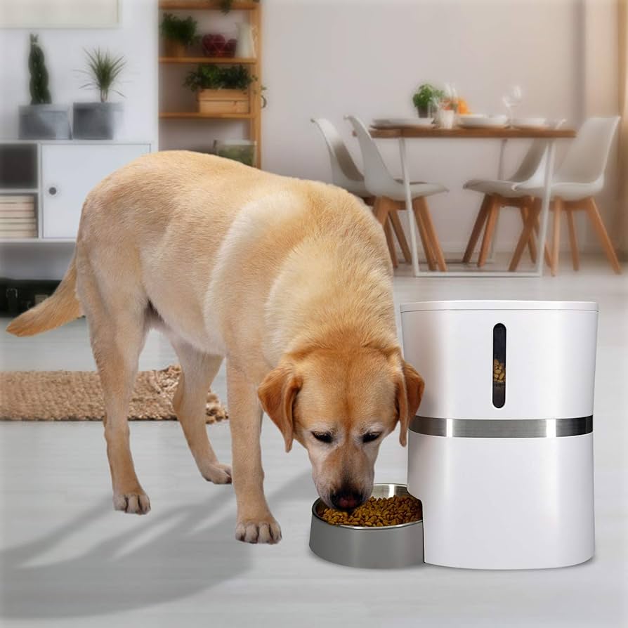 Amazon | HoneyGuaridan 自動給餌器 猫 中小型犬用-サポート 4L