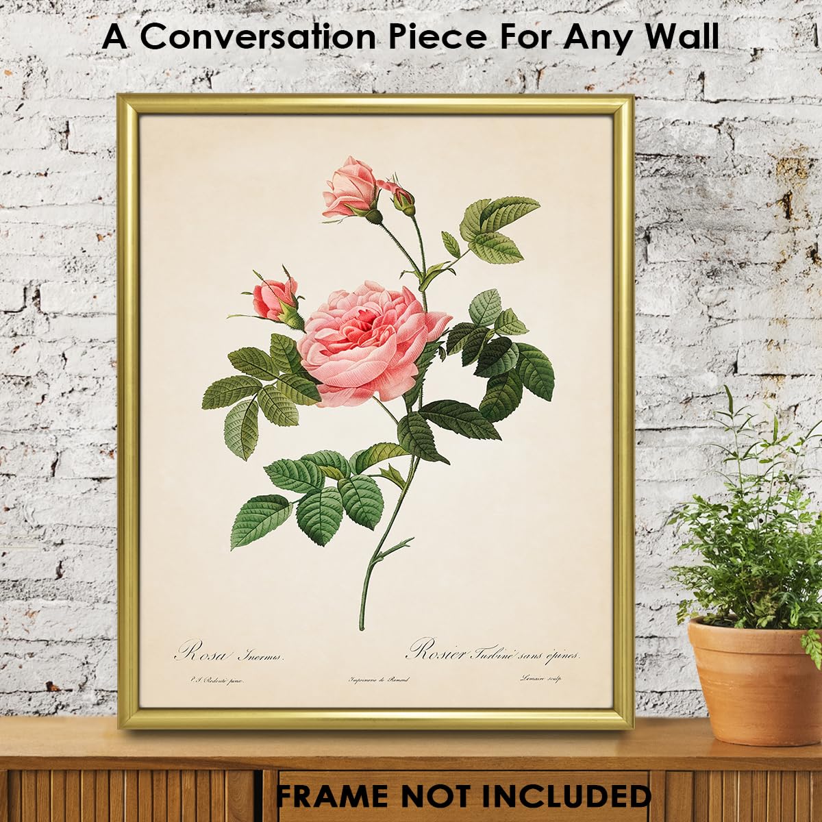Amazon.com: Vintage Pink Roses Botanical Wall Art - Give Your Home