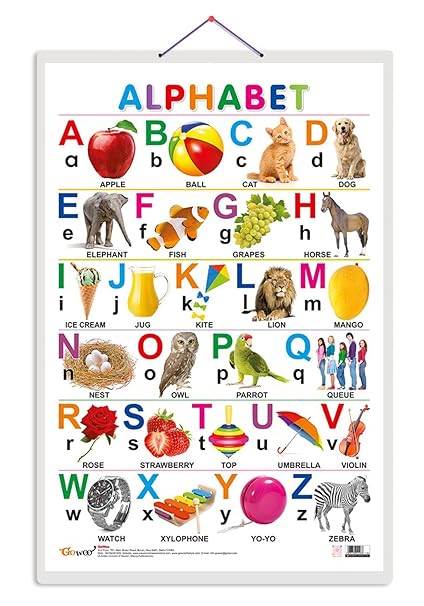 Alphabet Early Learning Educational Chart for Kids | 20"X30" inch |Non-Tearable and Waterproof | Double Sided Laminated | Perfect for Homeschooling, Kindergarten and Nursery Students