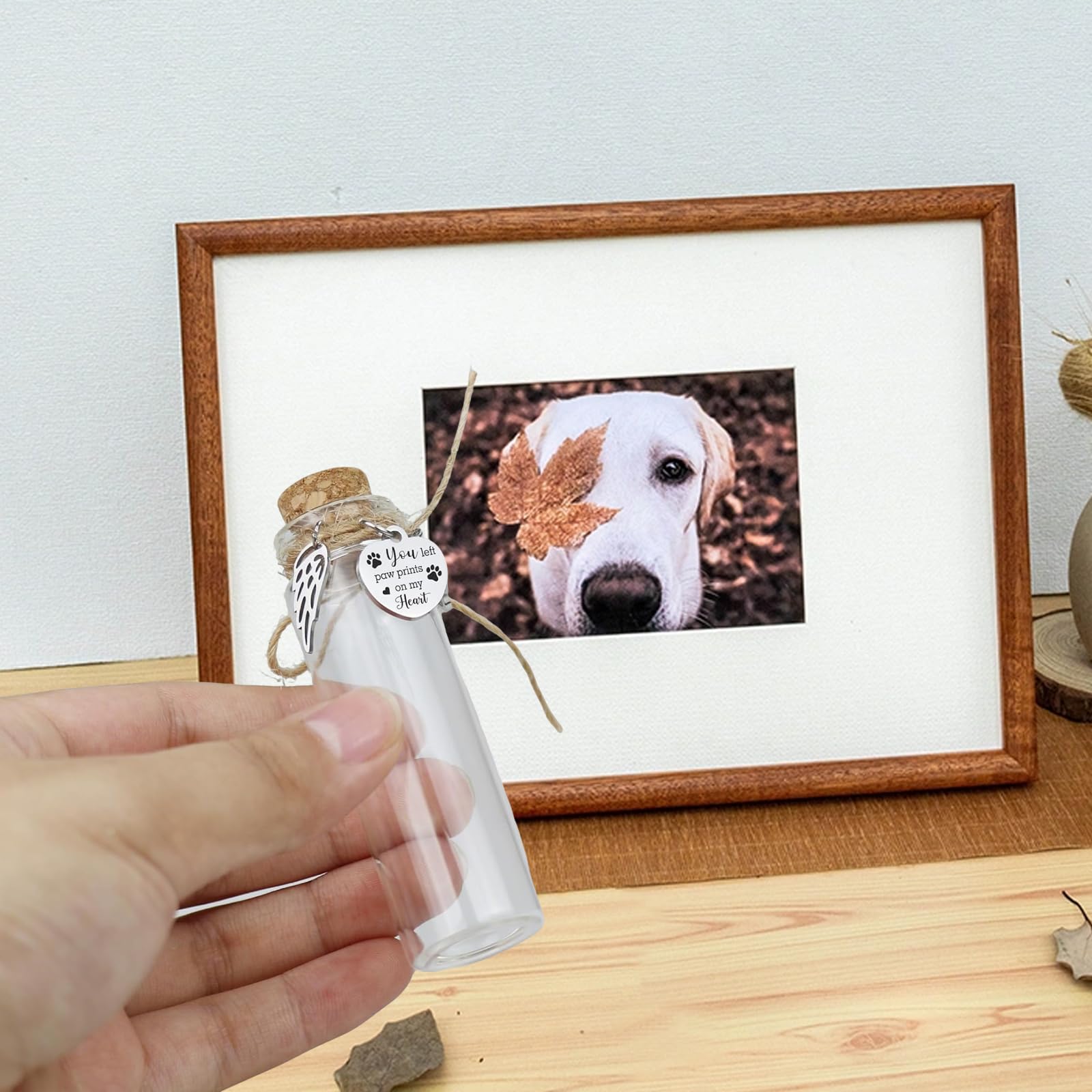 3 Stück Glas für Tierhaare, Aufbewahrung Hundehaare, Erinnerung Hund & Katze, Erinnerungsglas für Tierhaar Medaillon Zum Befüllen, Haustier urne, Tierhaar Erinnerung