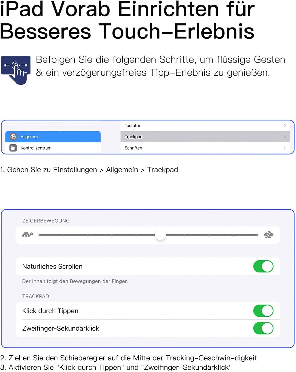 Screenshot of iPad settings for Trackpad, showing options for pointer movement speed, natural scrolling, tap to click, and two-finger secondary click.