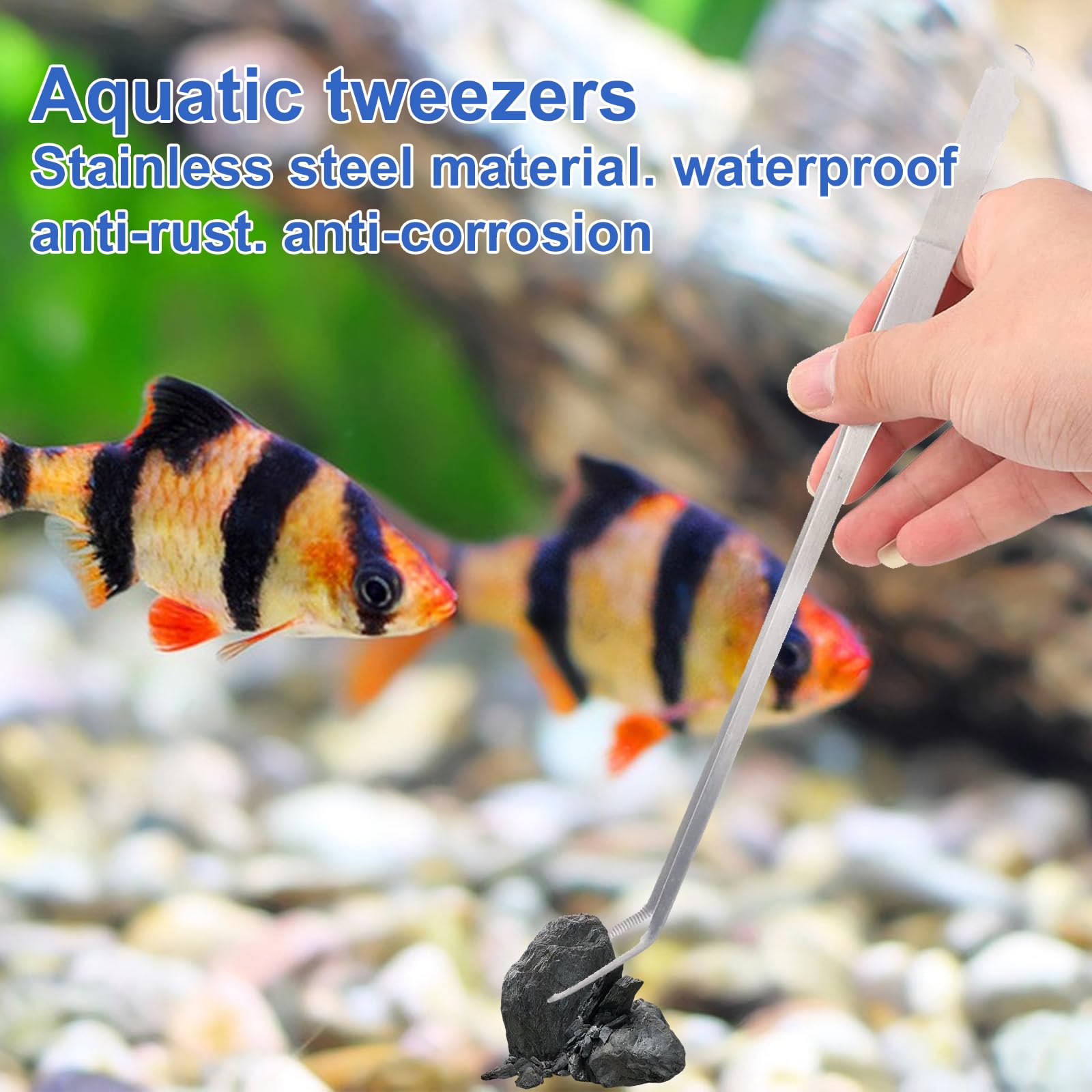 Kit 4 In 1 Per Acquario - Forbici, Pinzette E Spatola In Acciaio Inox