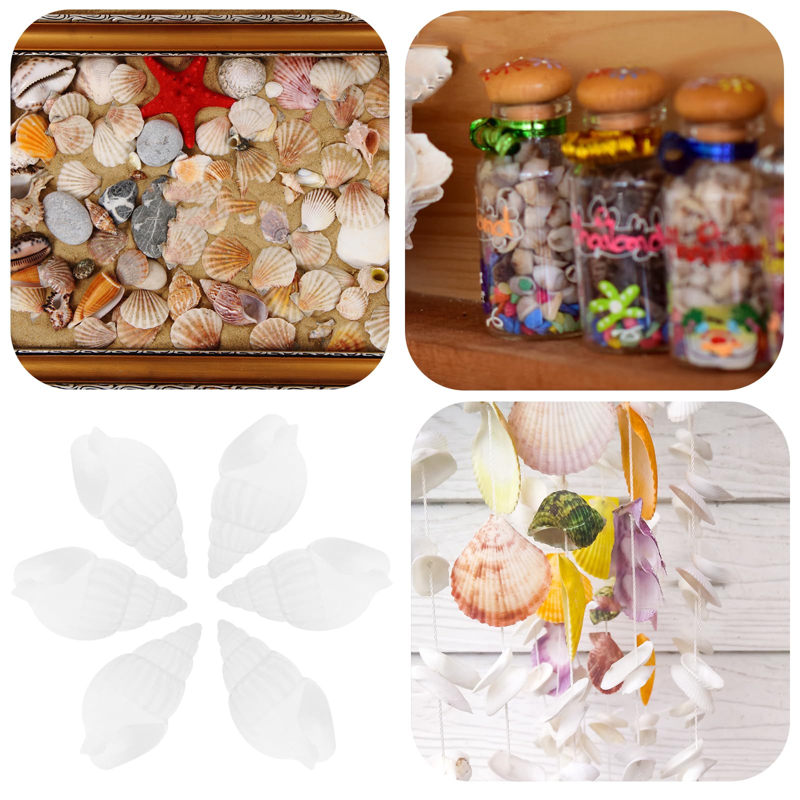 SEWACC 100pcs Mini Seashell Conches Natural Tiny Ocean Seashells for DIY Miniature Beach Decor White Decorative Conch Ocean Beach Shell Conch Craft Charms for Fish Tank Vase Filler